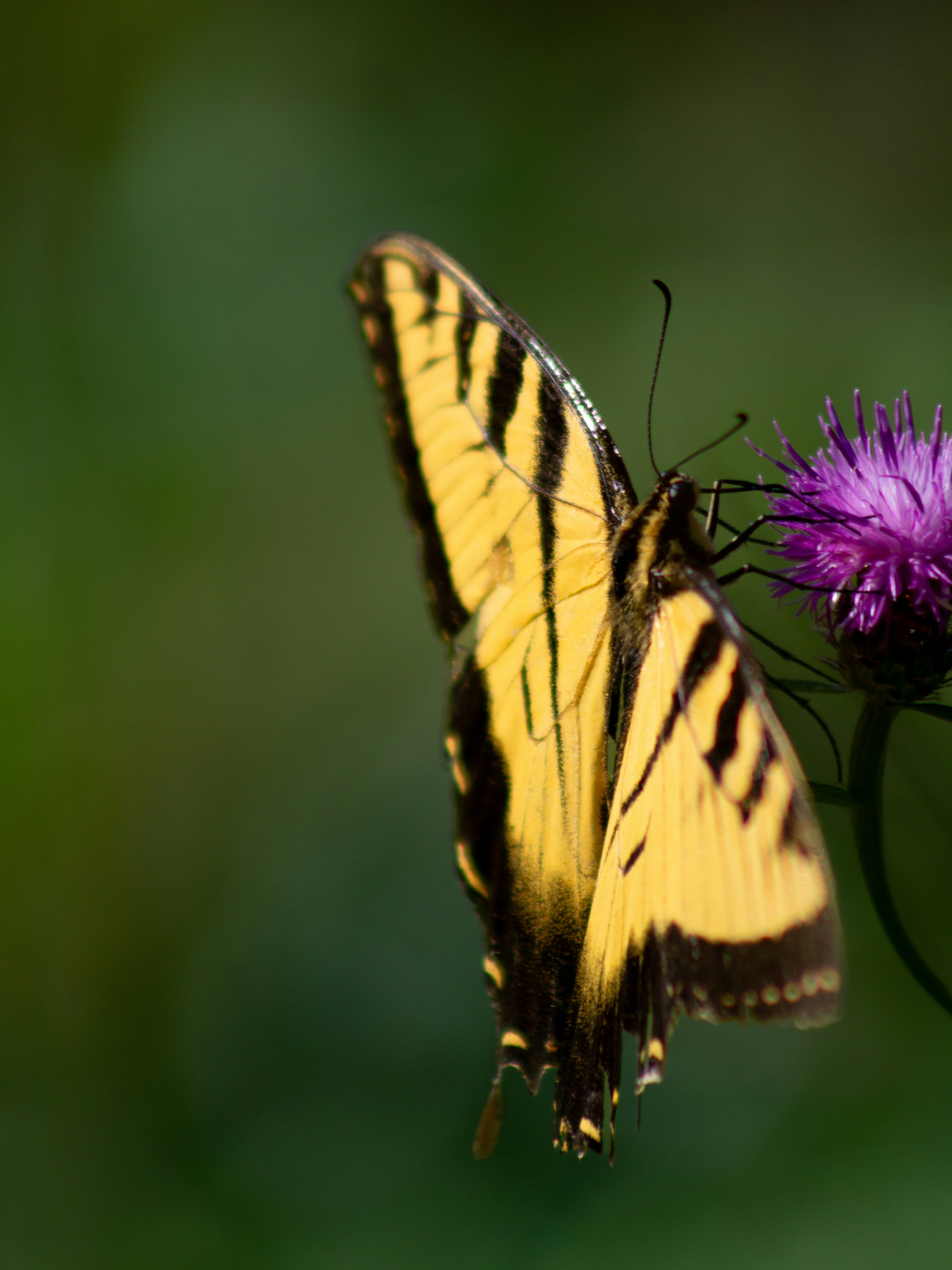 Photo by charlysey278