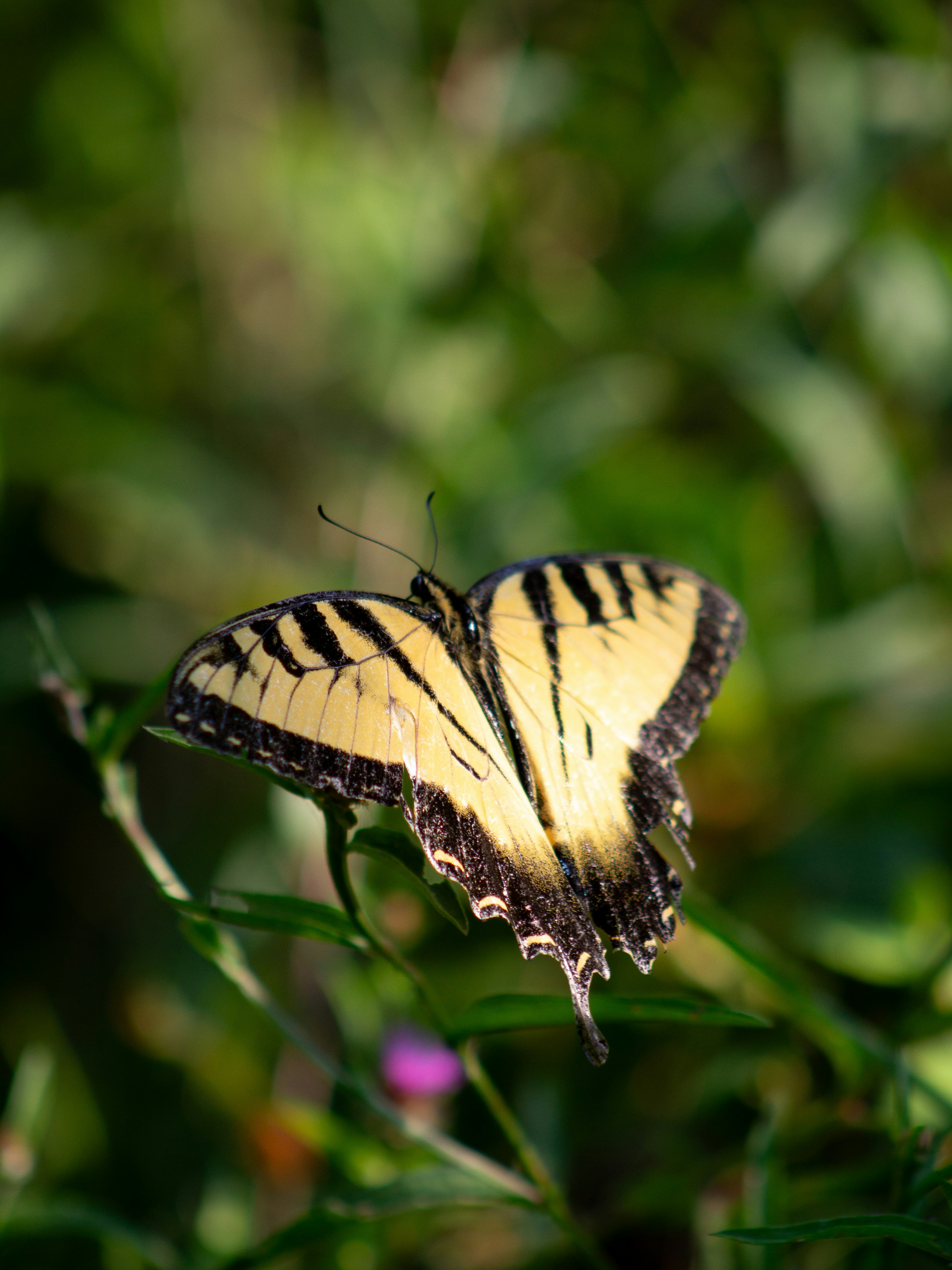 Photo by charlysey278