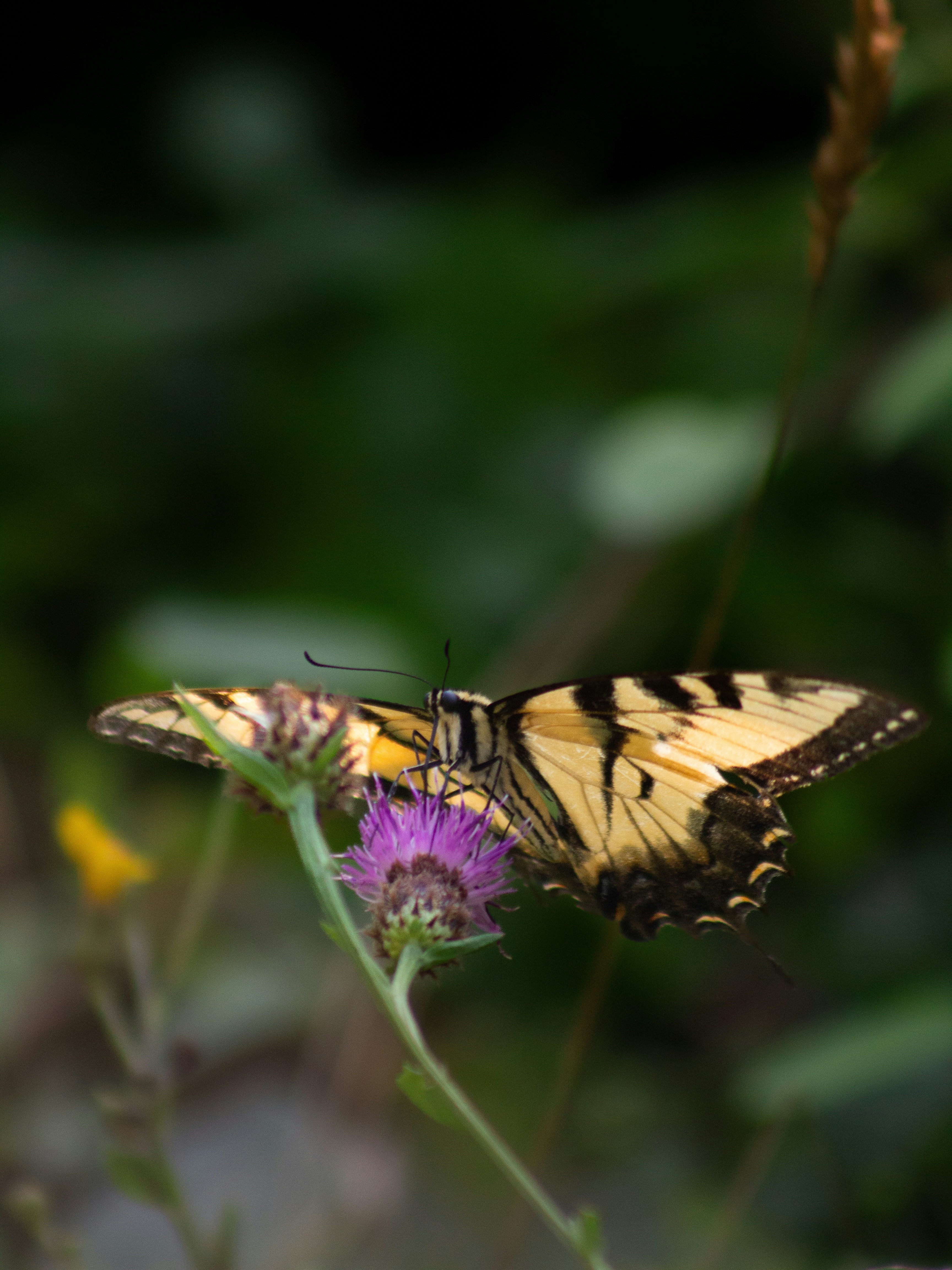 Photo by charlysey278