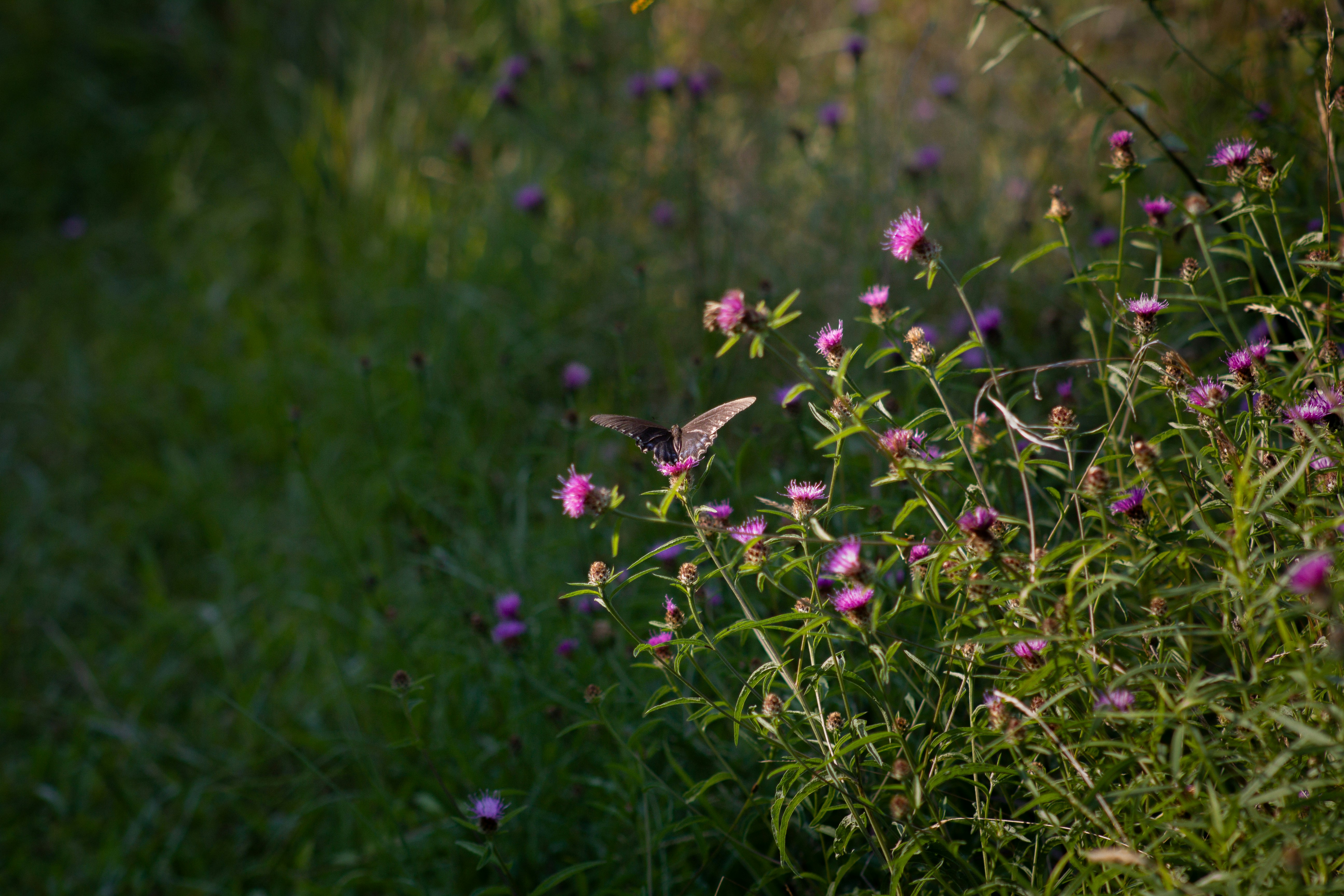 Photo by charlysey278