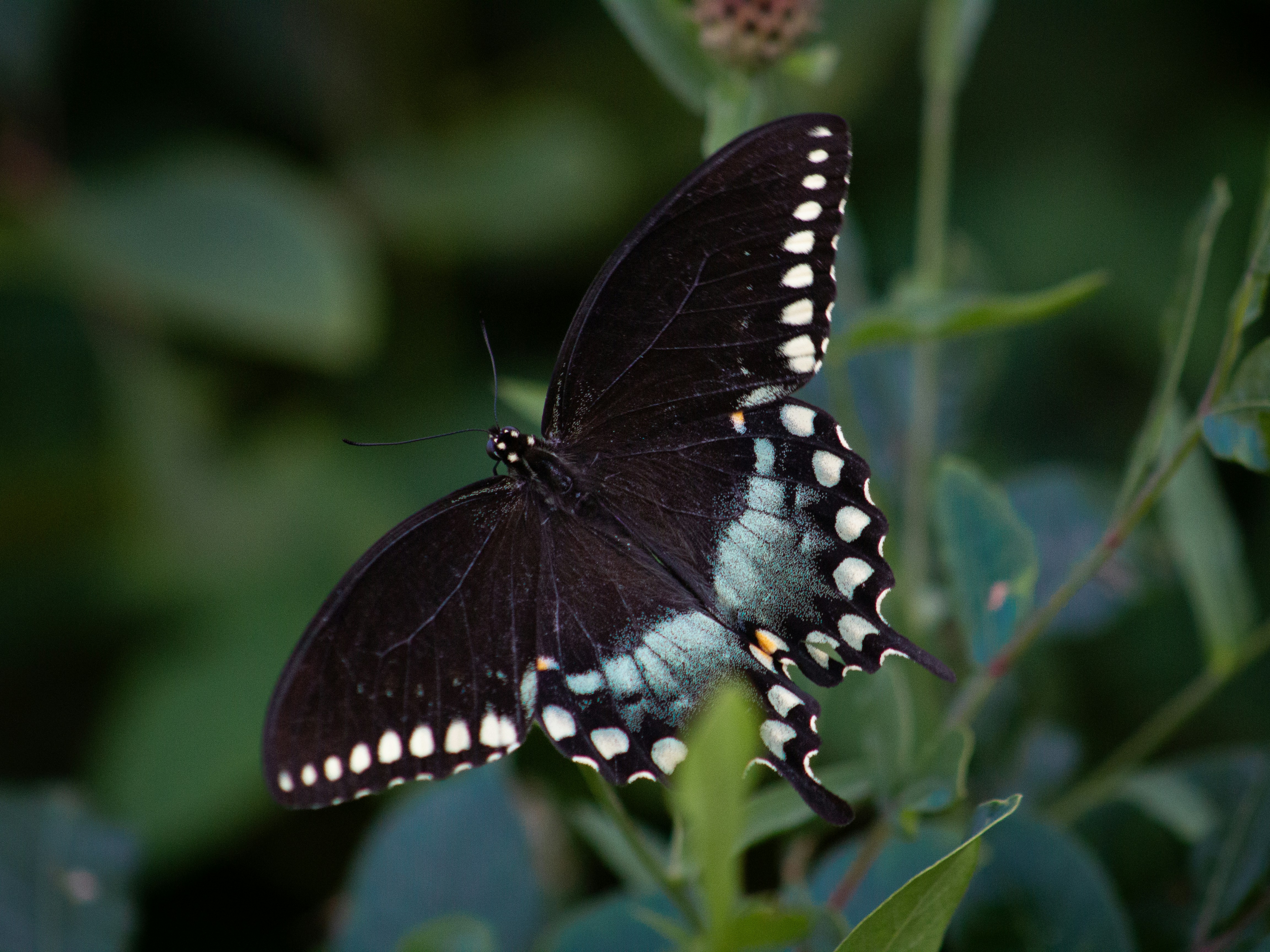 Photo by charlysey278