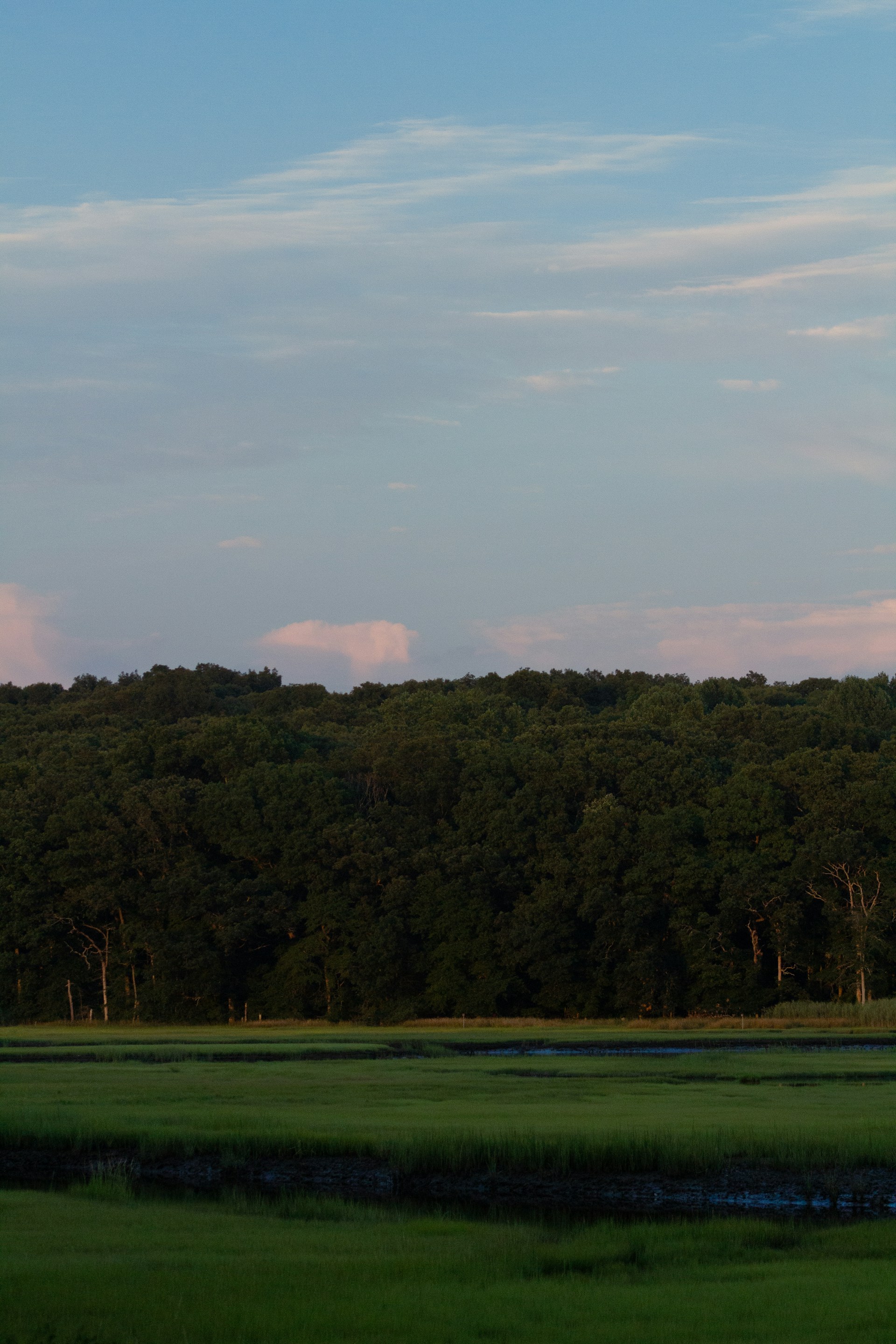 A plane flying over a lush green field