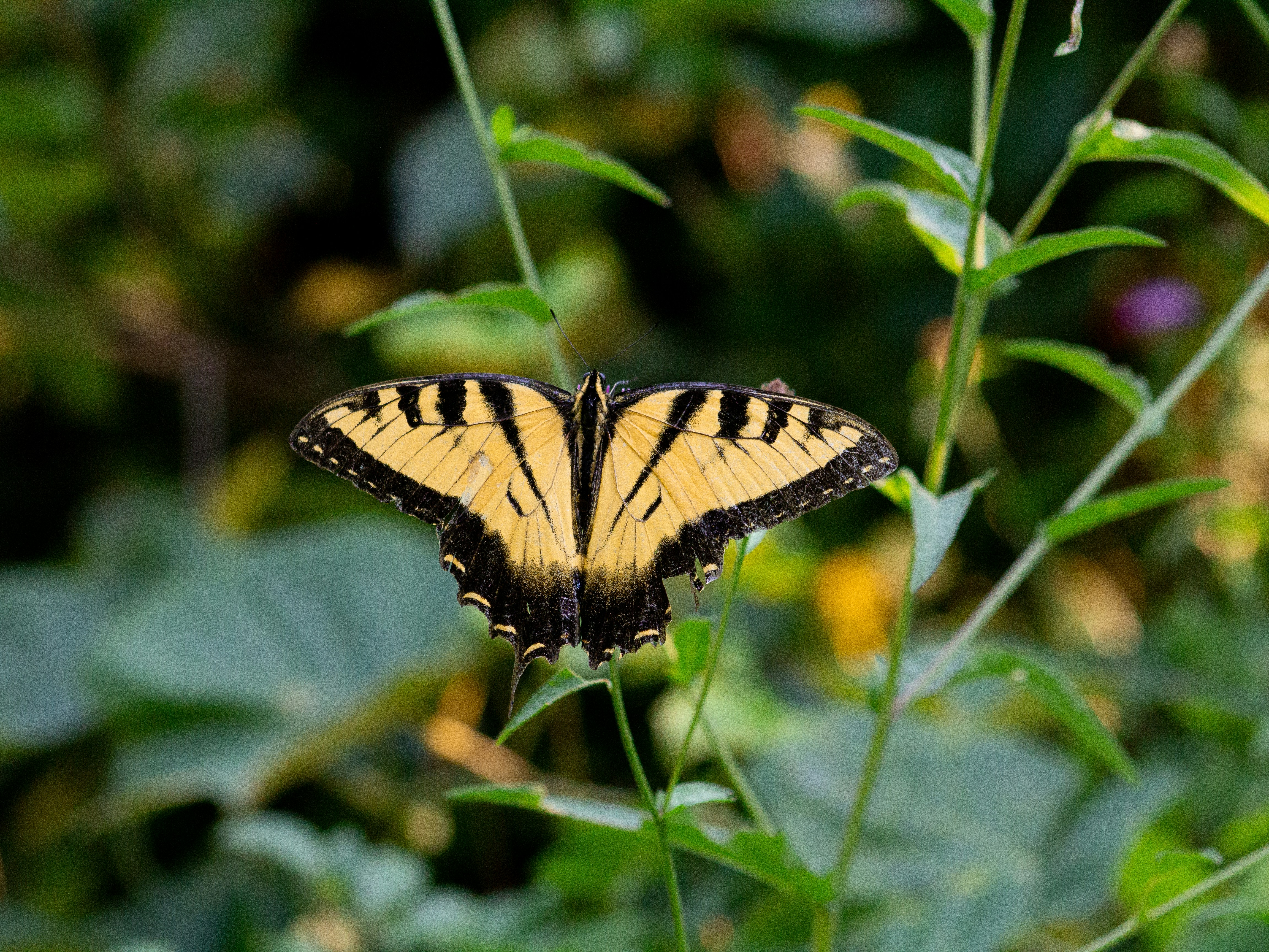 Photo by charlysey278