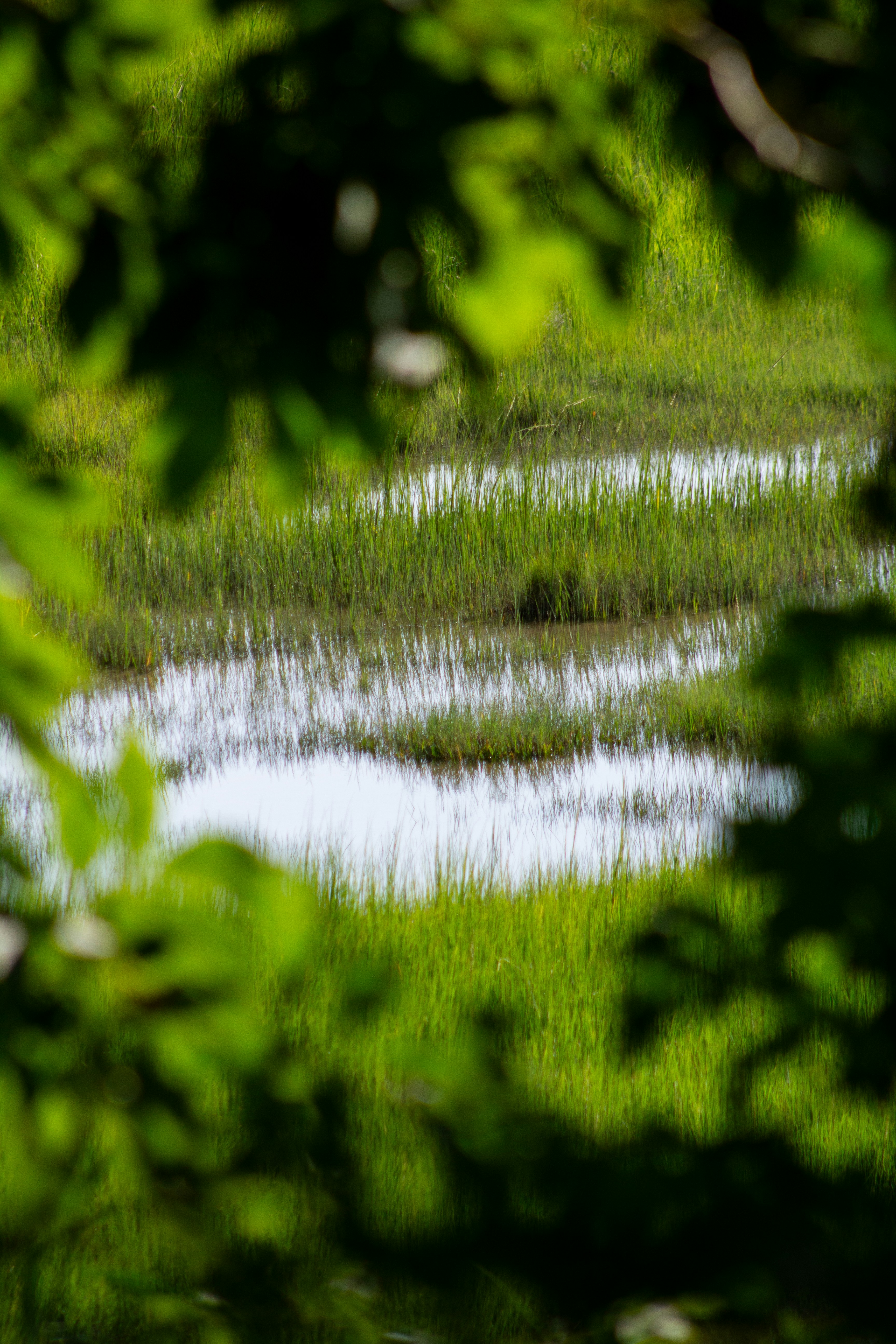 Photo by charlysey278