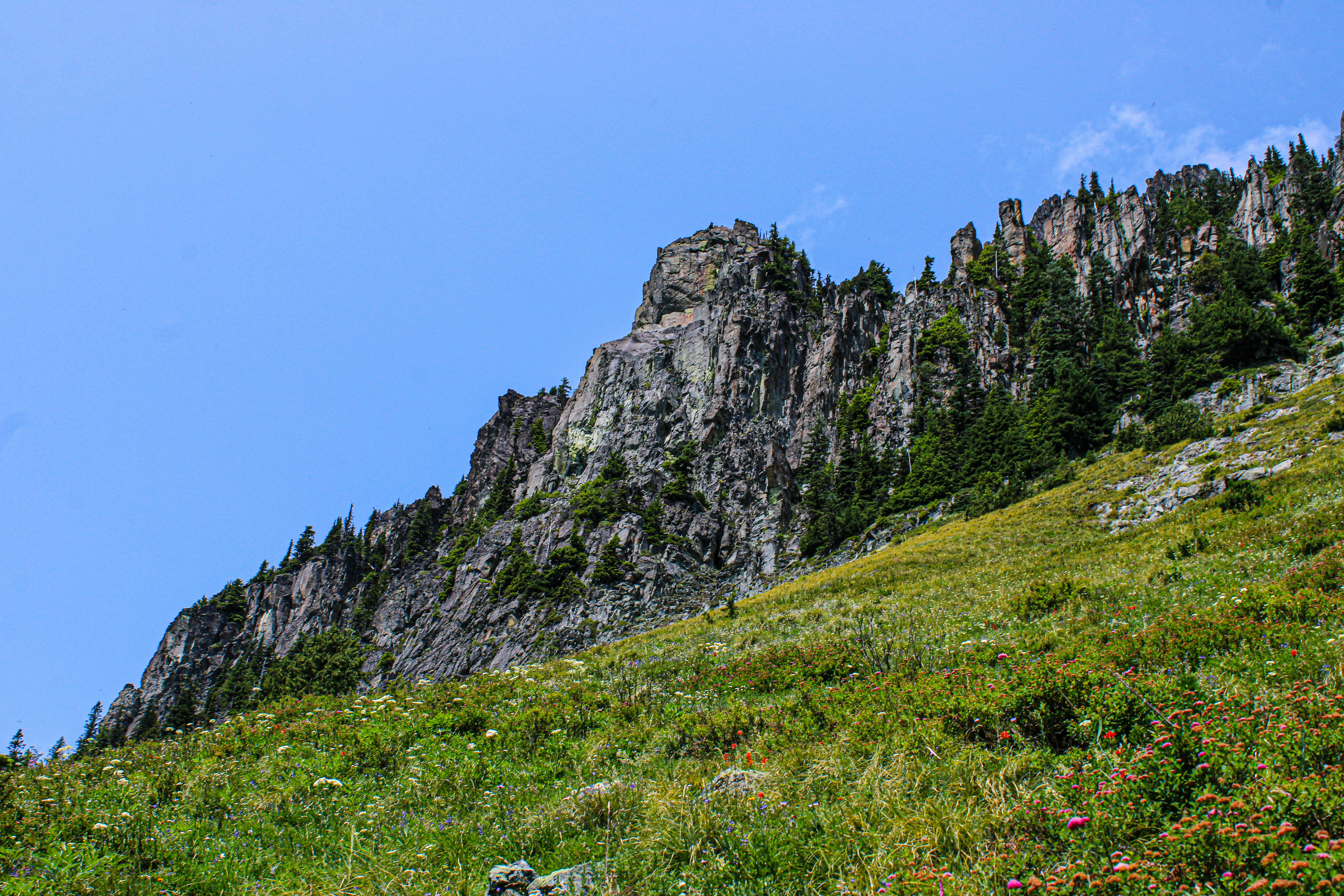 Photo by prphotography262