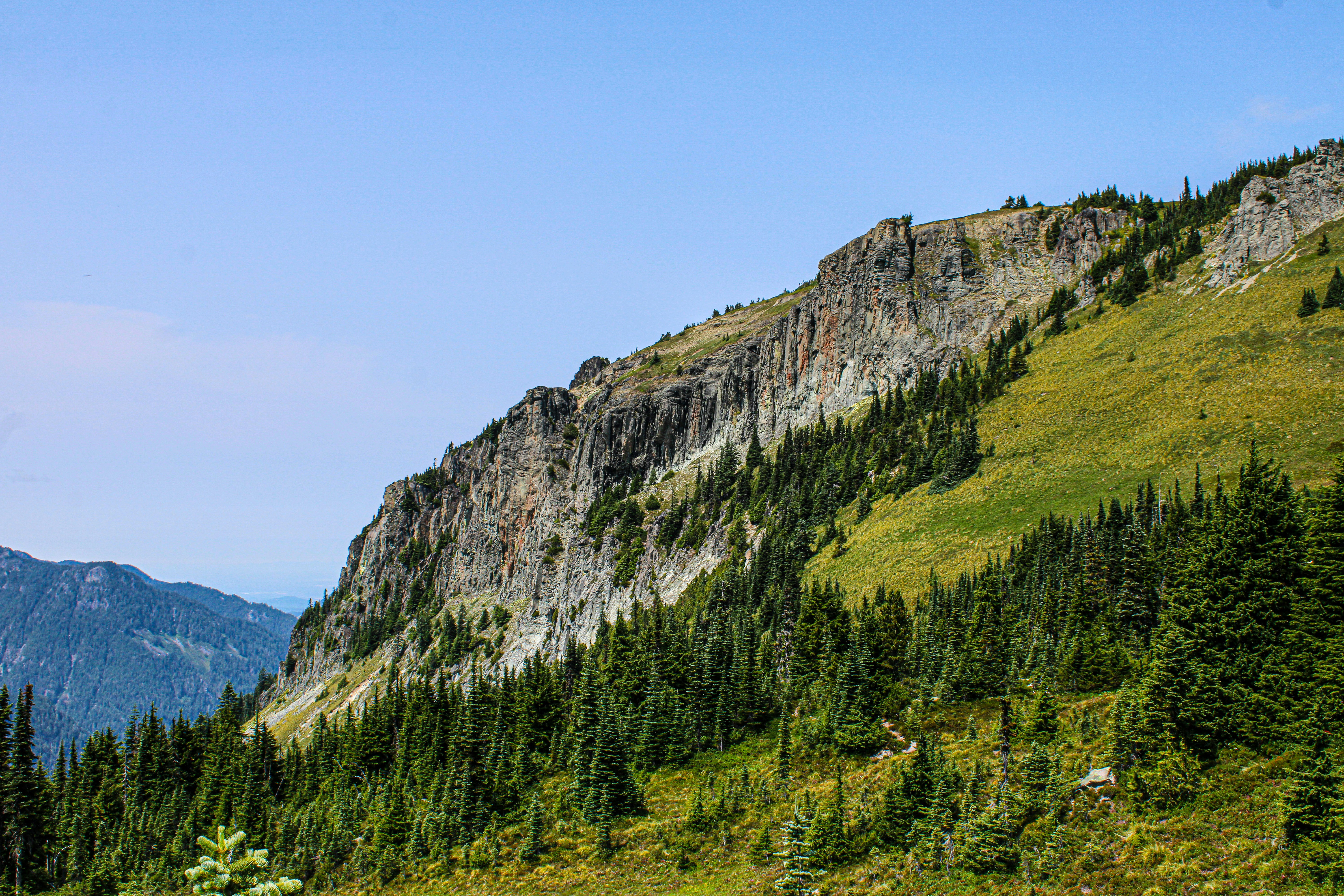 斜面に木が生えているイメージ