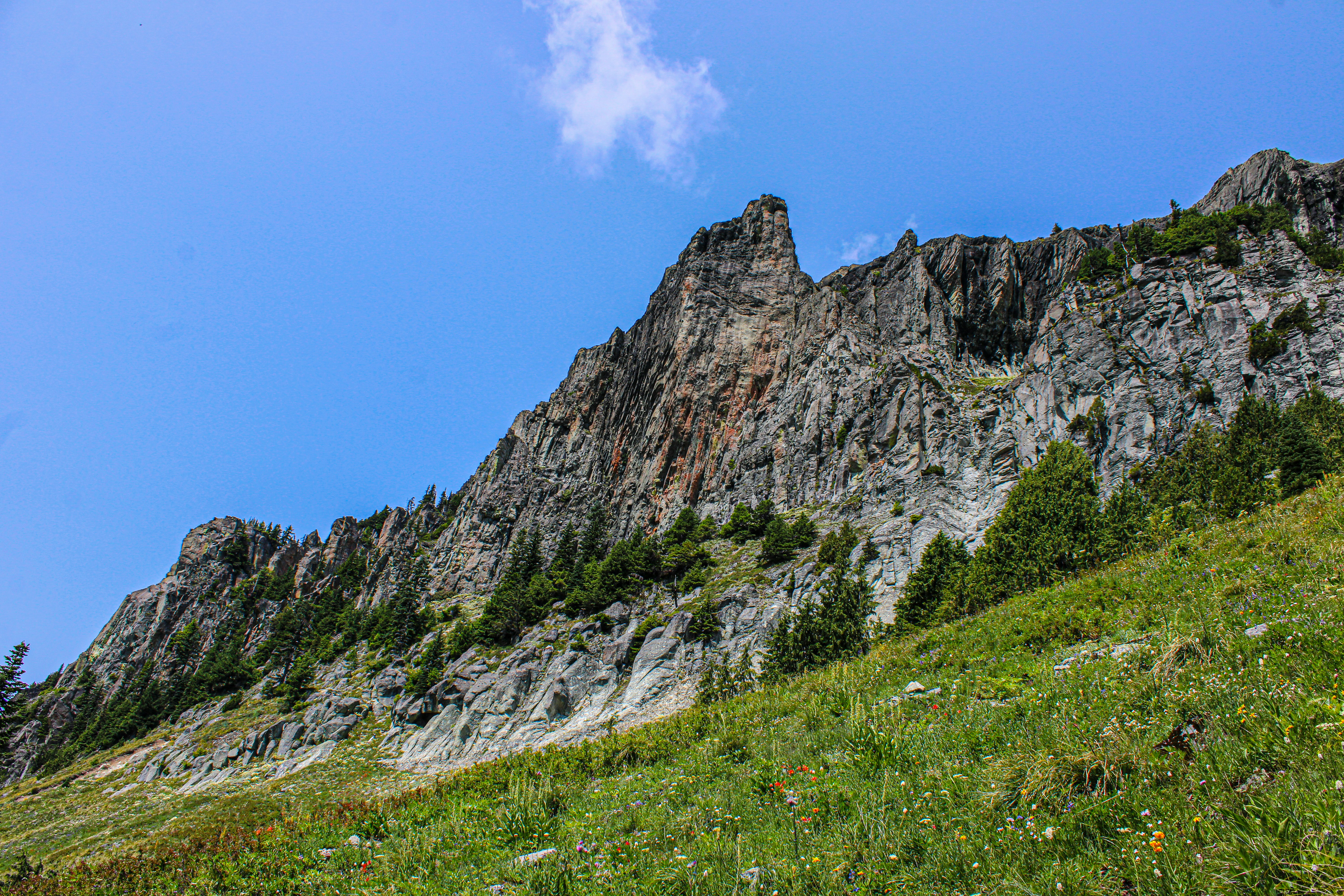 Photo by prphotography262