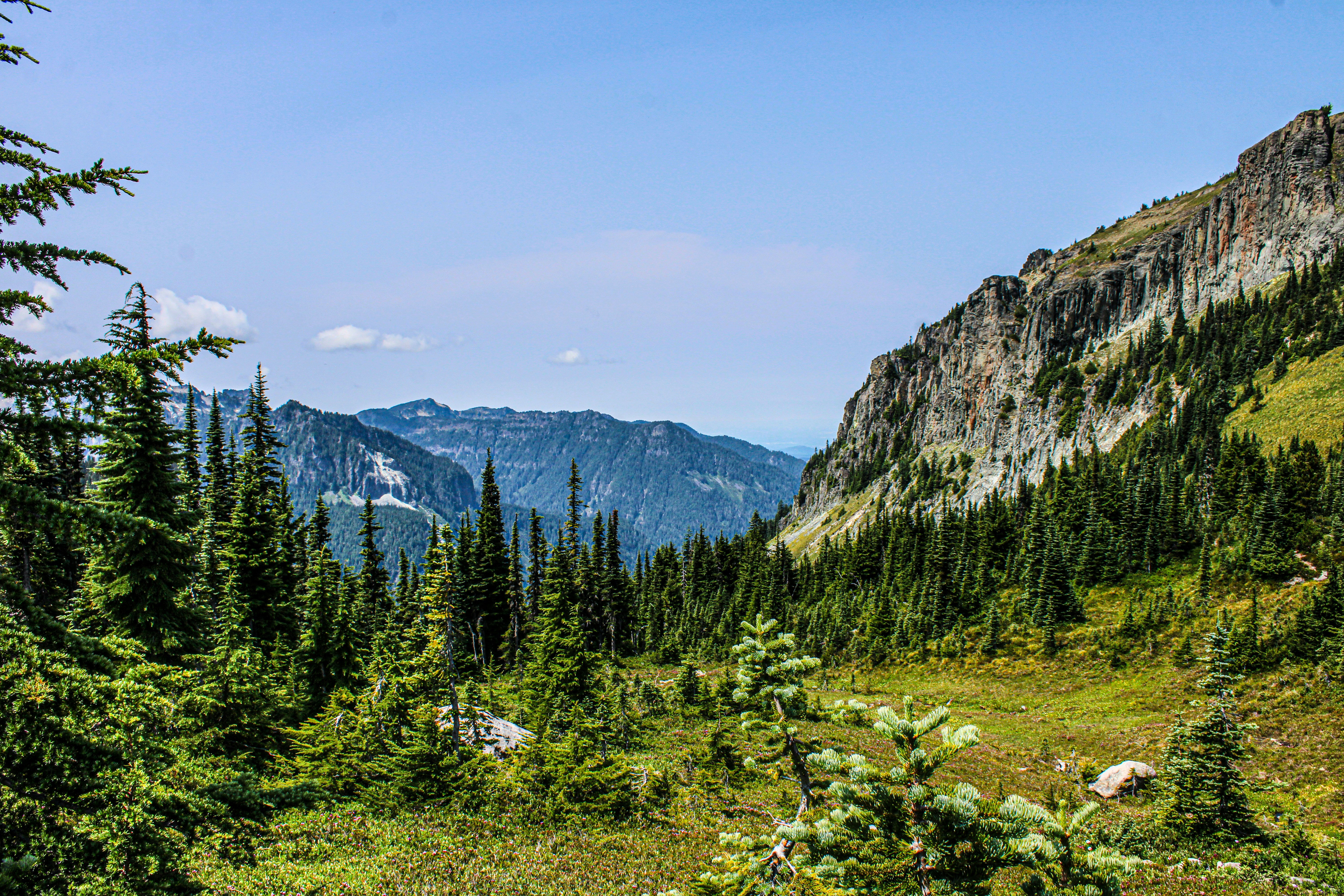 Photo by prphotography262