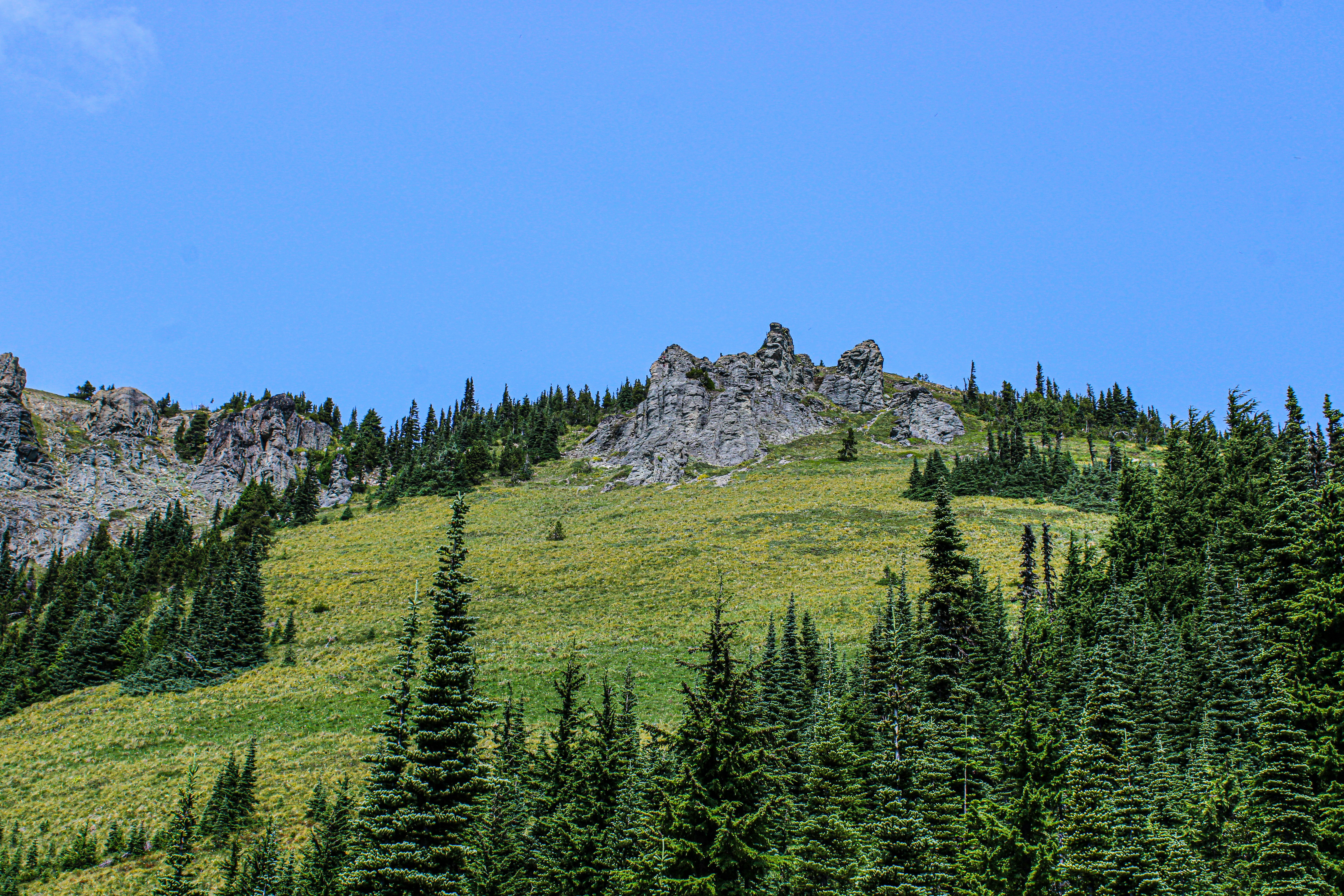 Photo by prphotography262