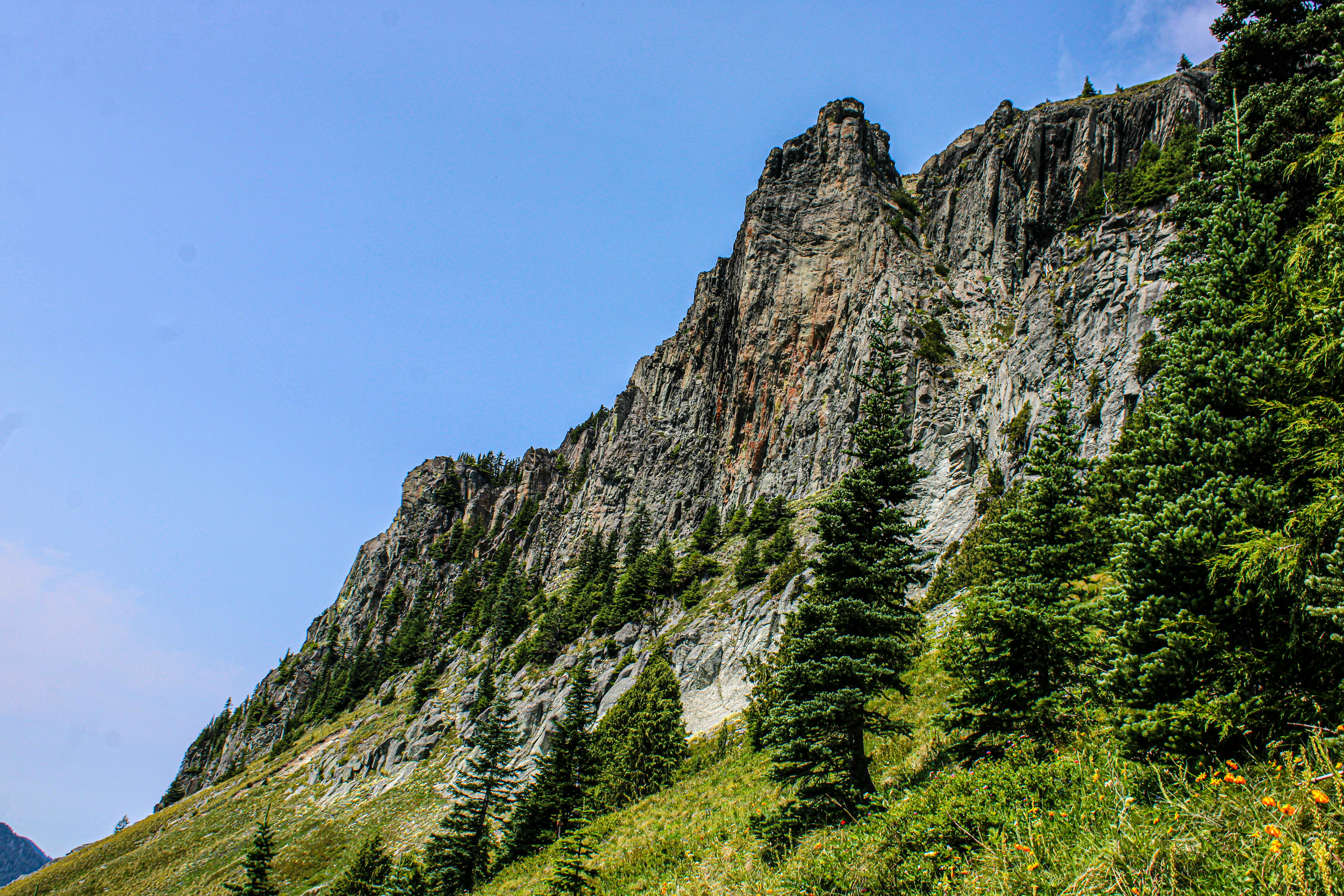 Photo by prphotography262