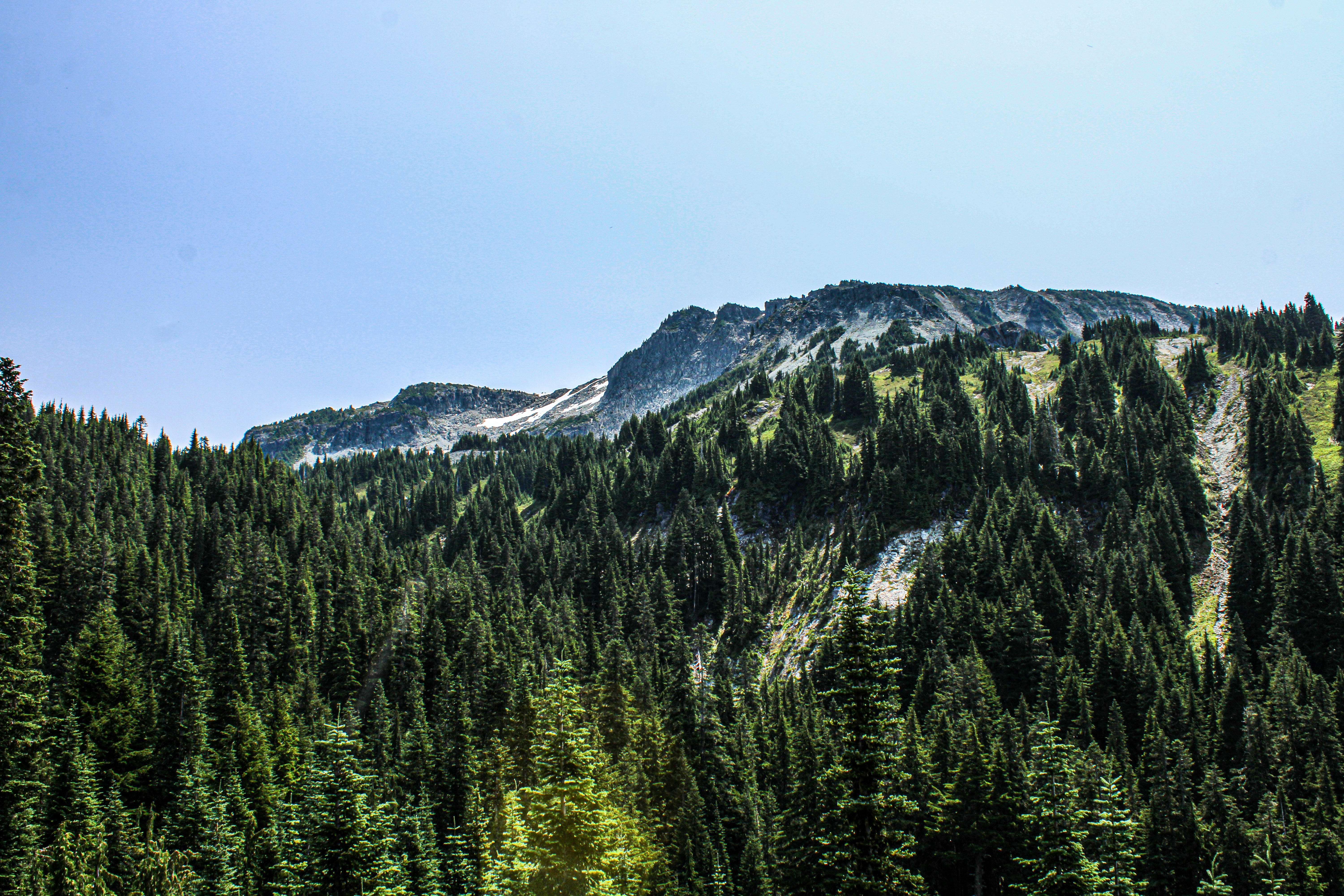 Photo by prphotography262