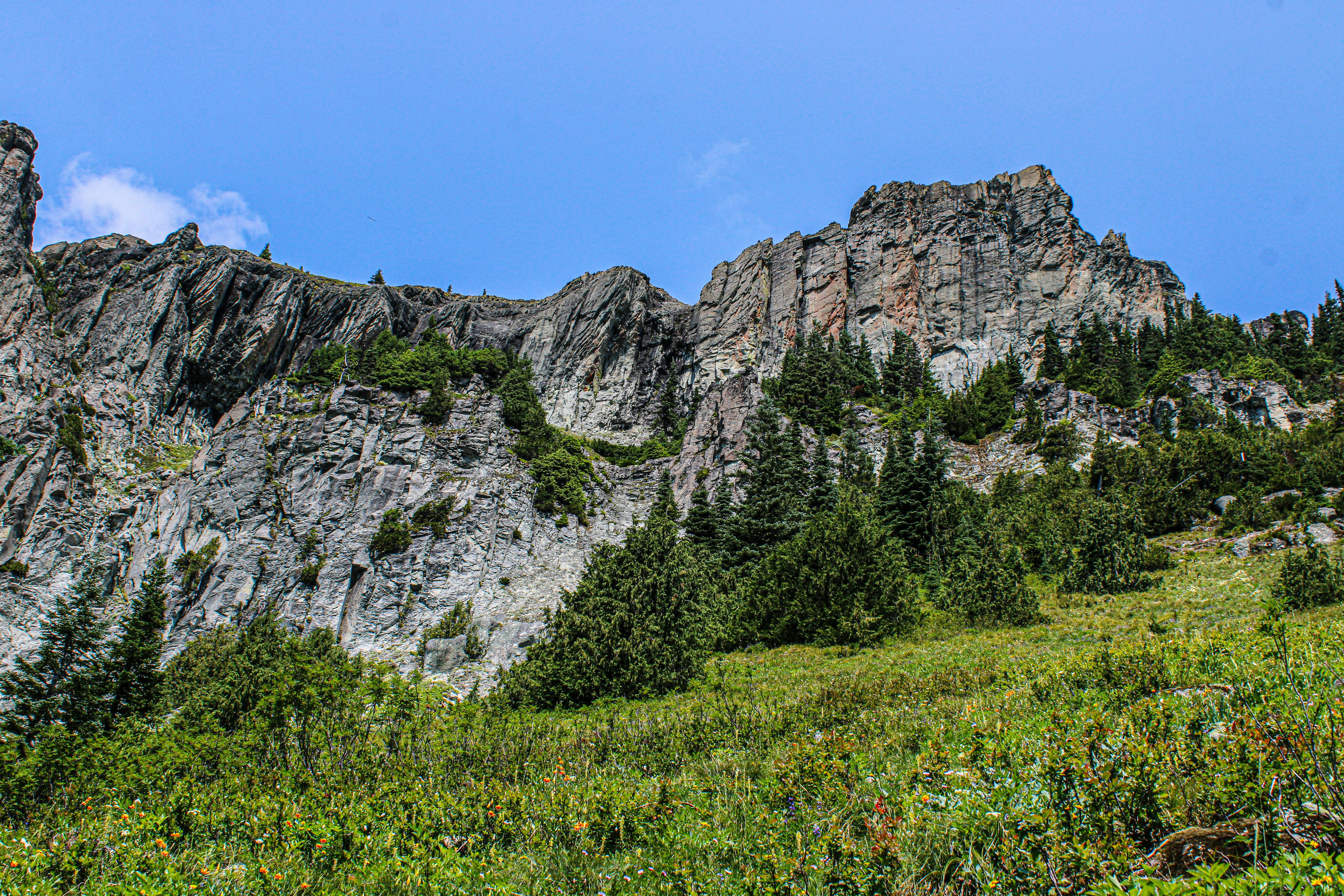 Photo by prphotography262