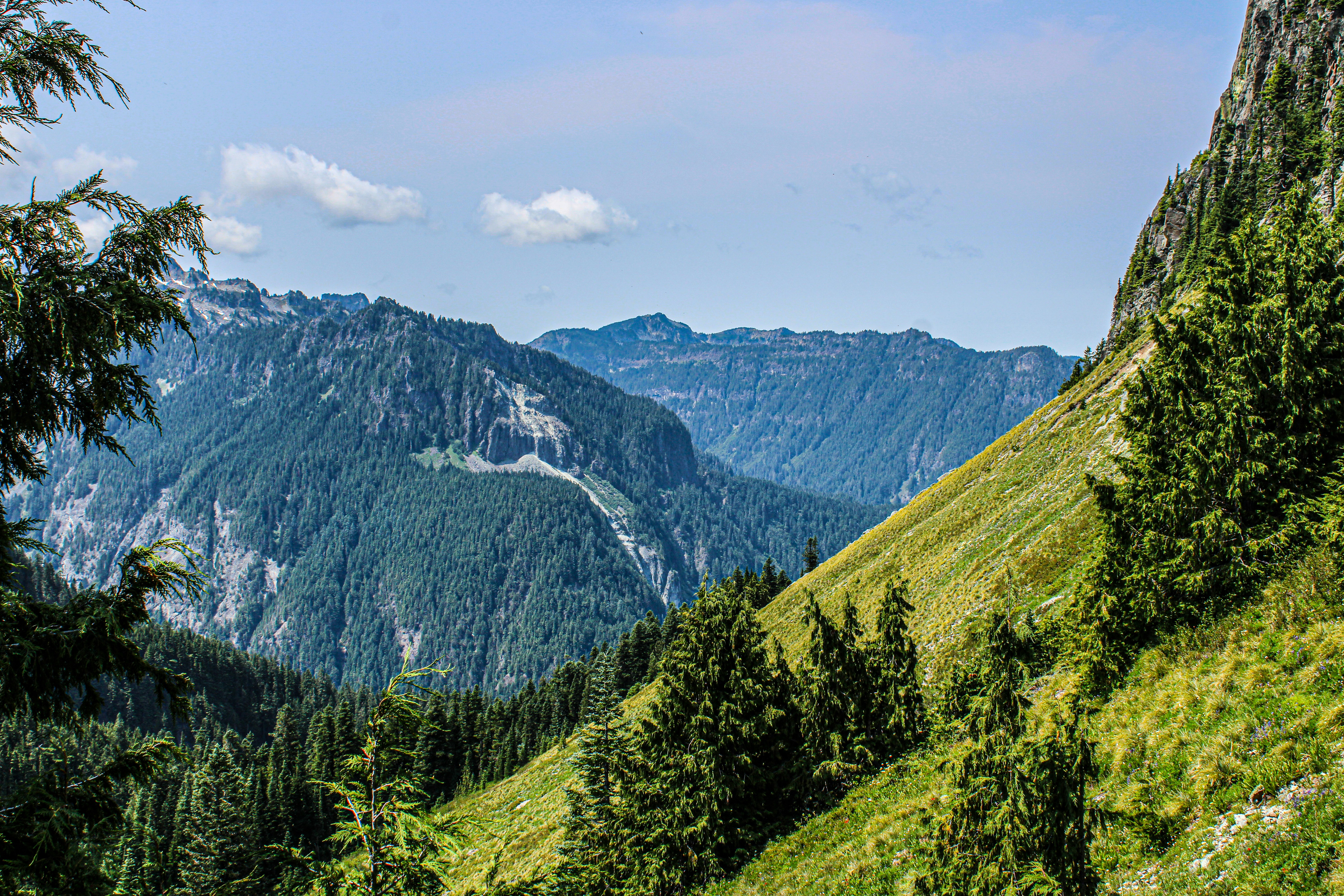 Photo by prphotography262