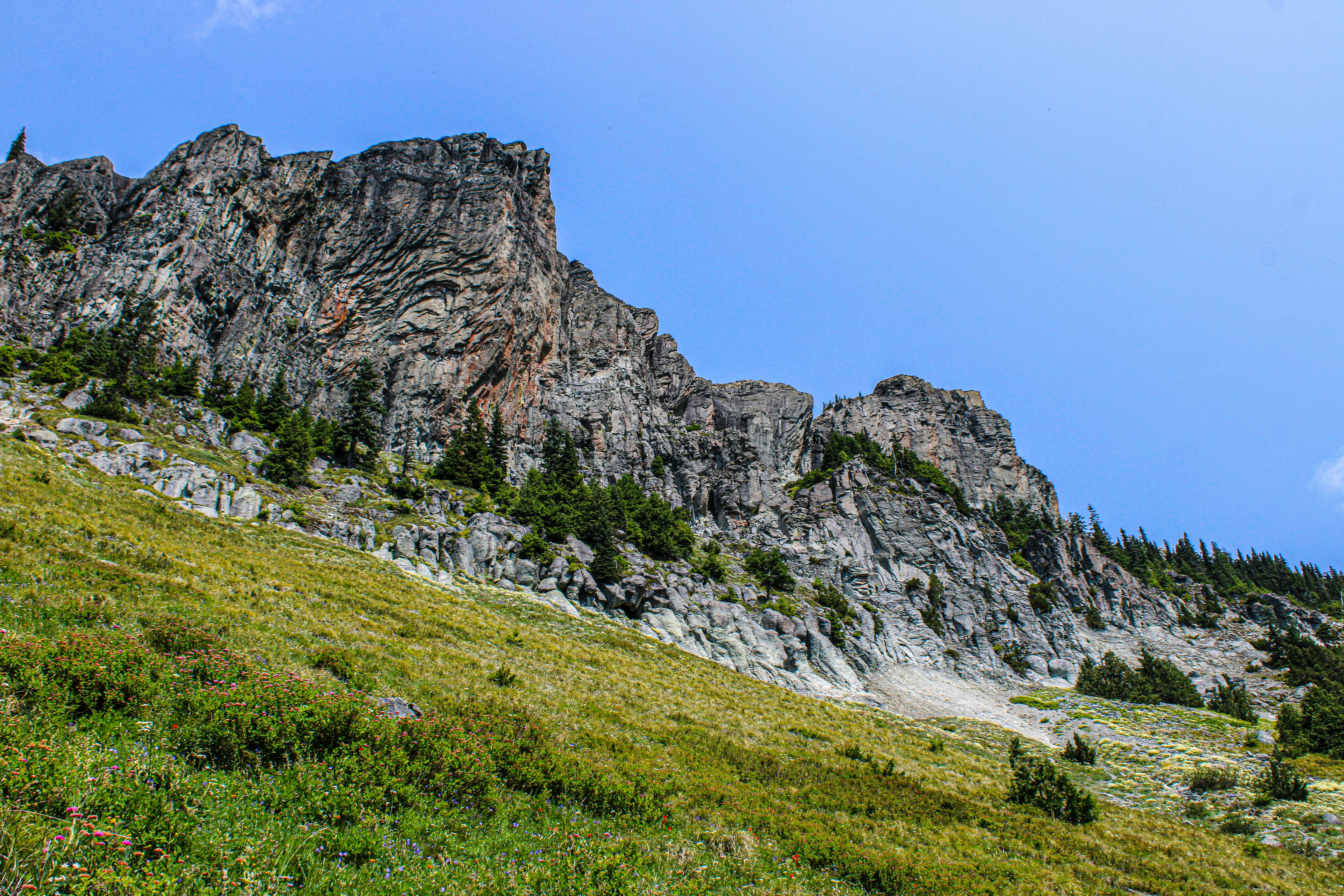 Photo by prphotography262