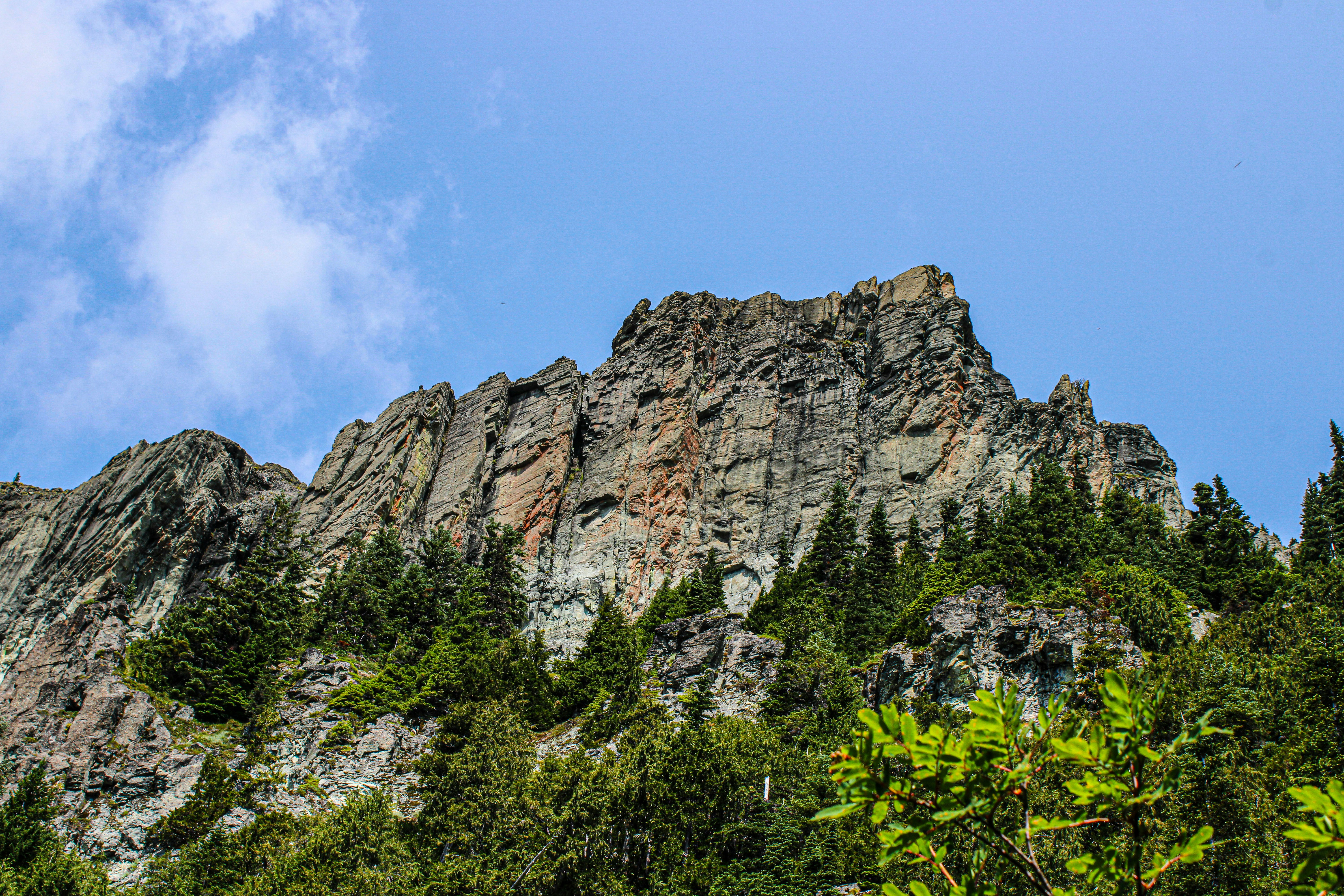 Photo by prphotography262