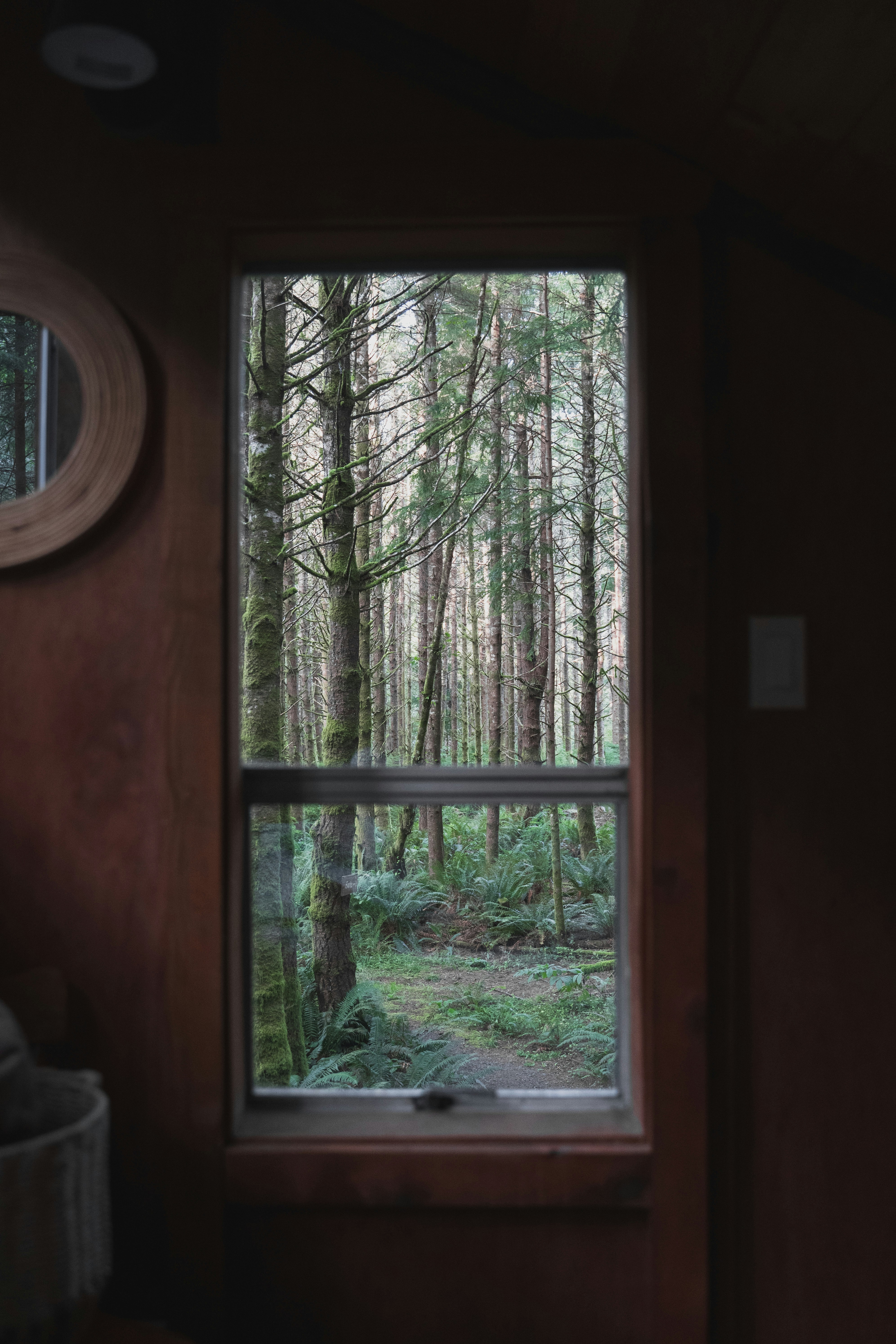 Una vista di una foresta attraverso una finestra