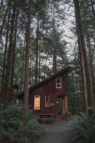 Cozy lodge accommodation surrounded by nature