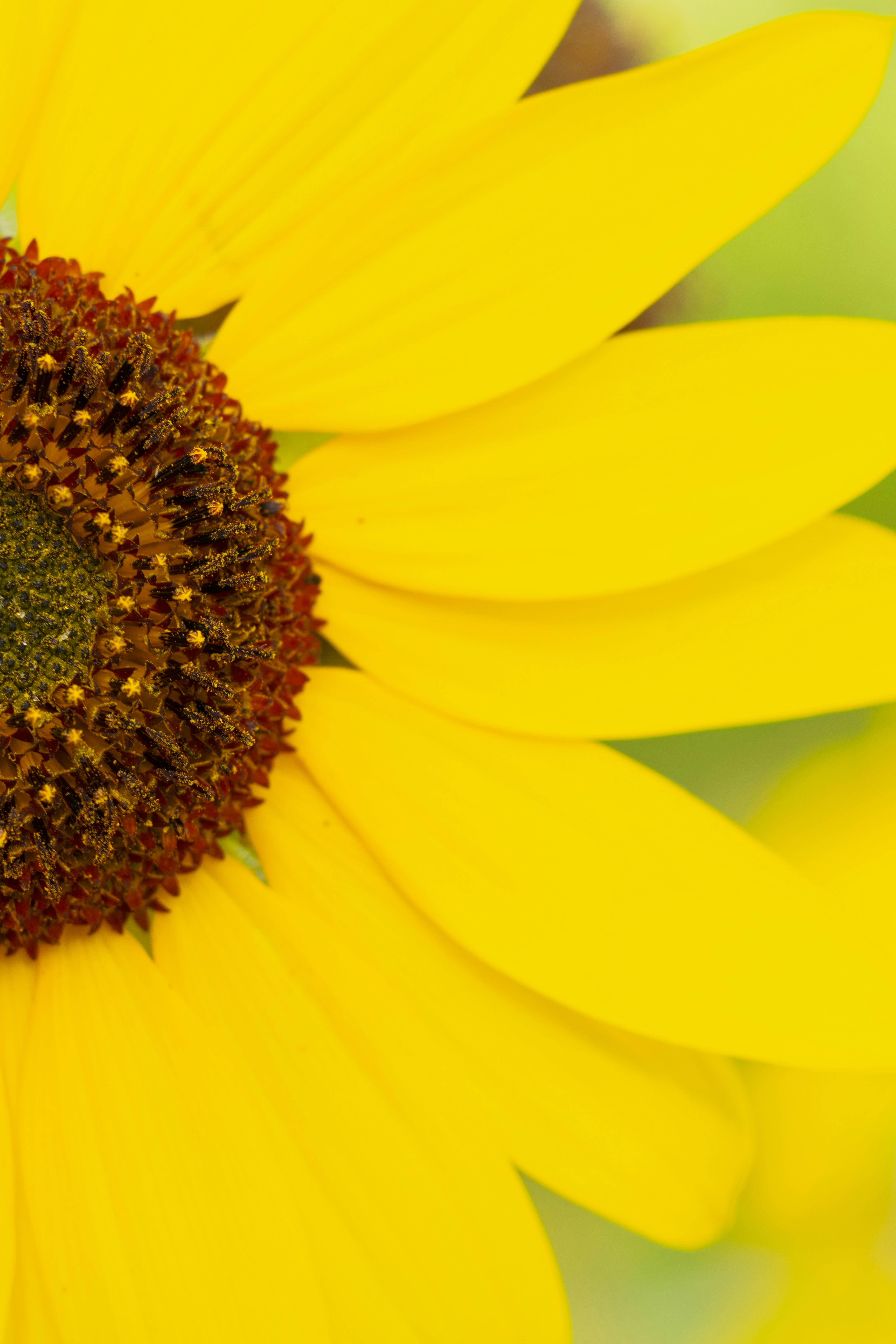 Photo by brandonstoll