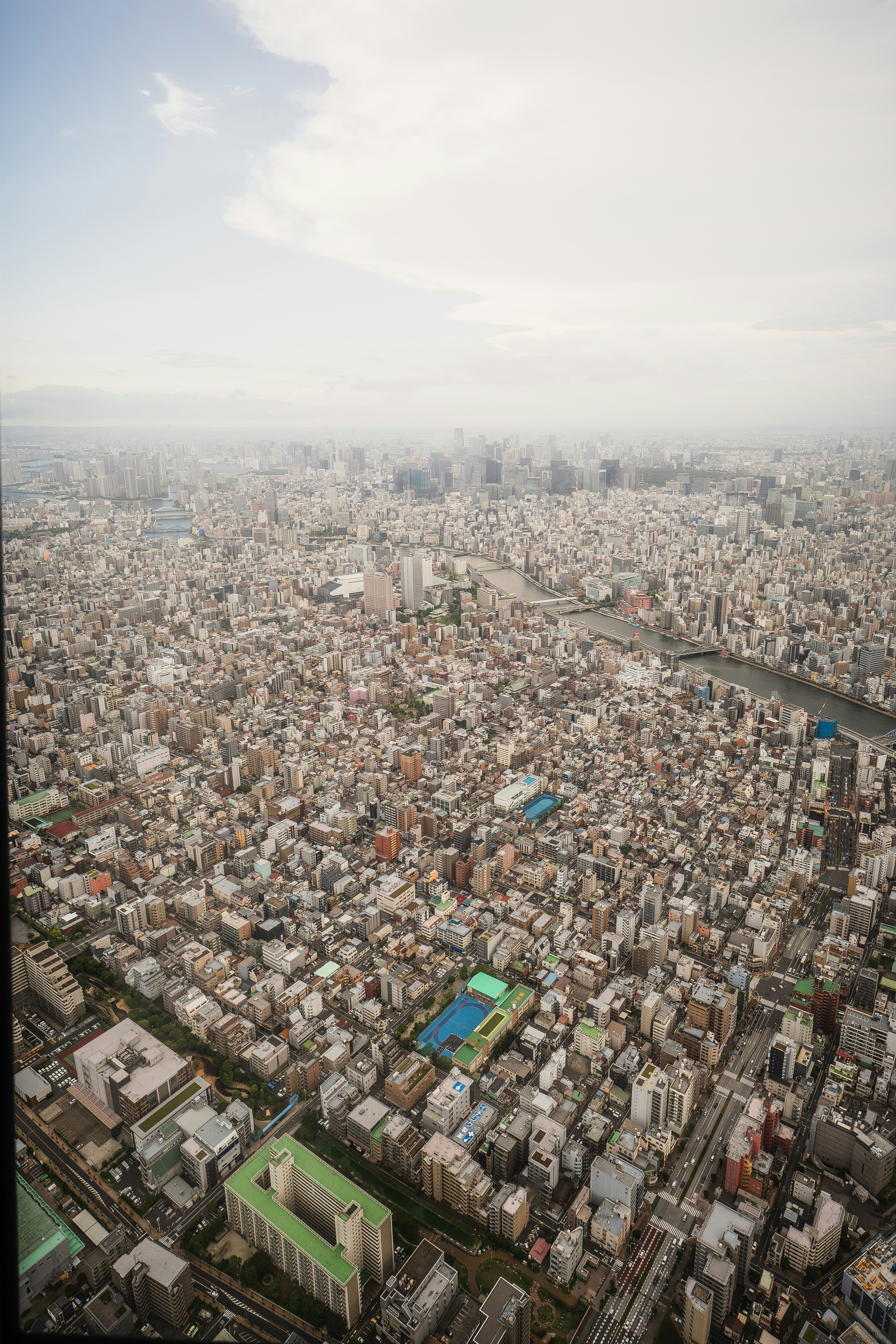 Photo by ryunosuke_kikuno