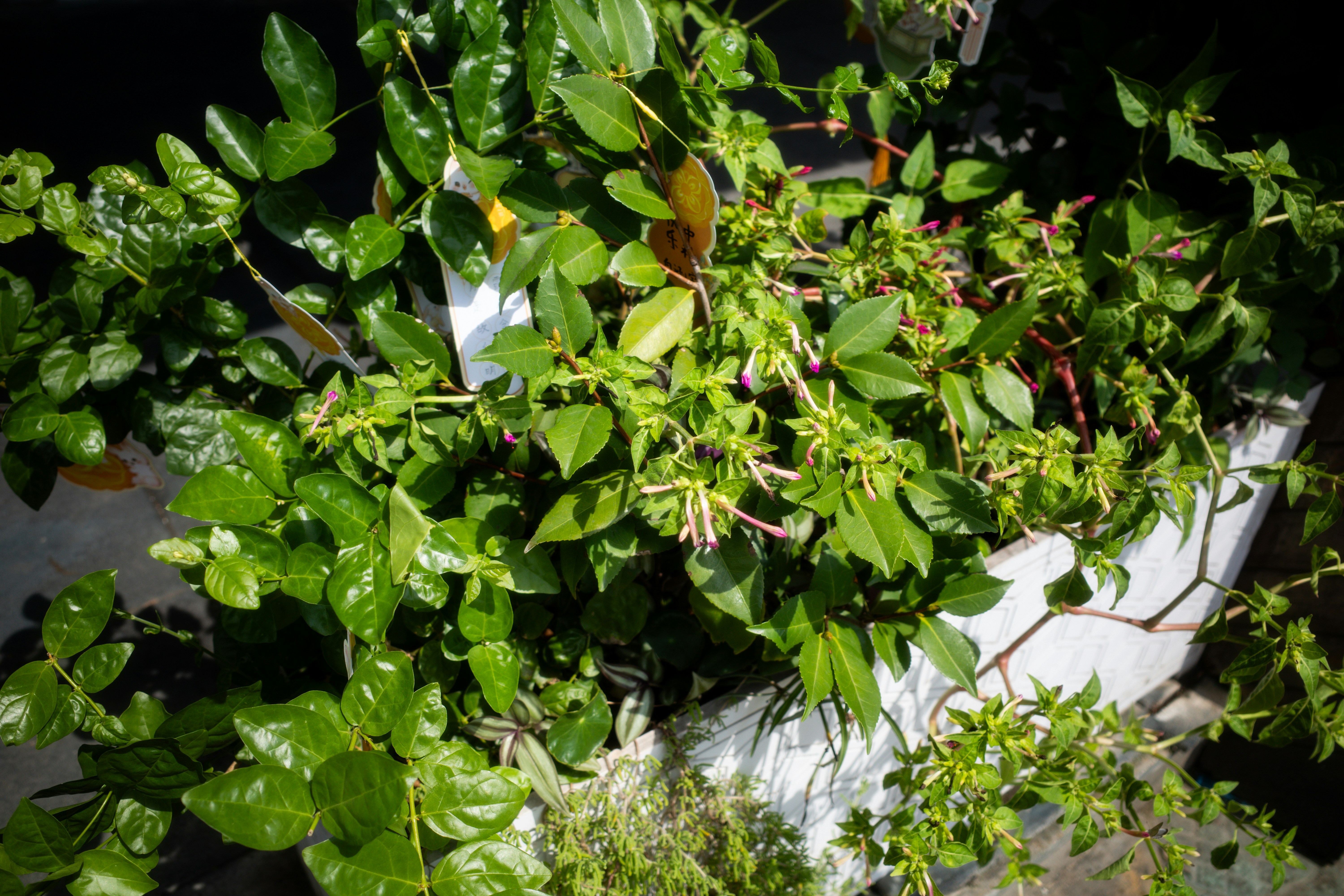 Your Role in the Fight (image credits: unsplash)