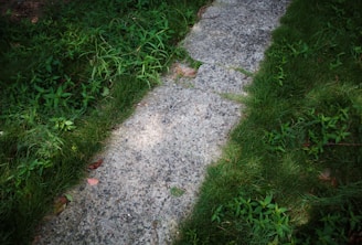 A white fire hydrant sitting on the side of a road