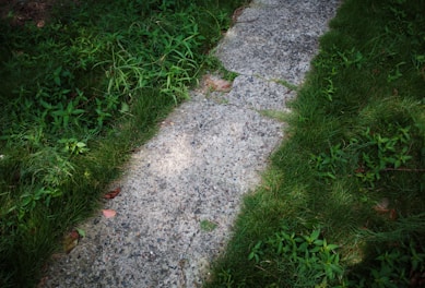 A white fire hydrant sitting on the side of a road