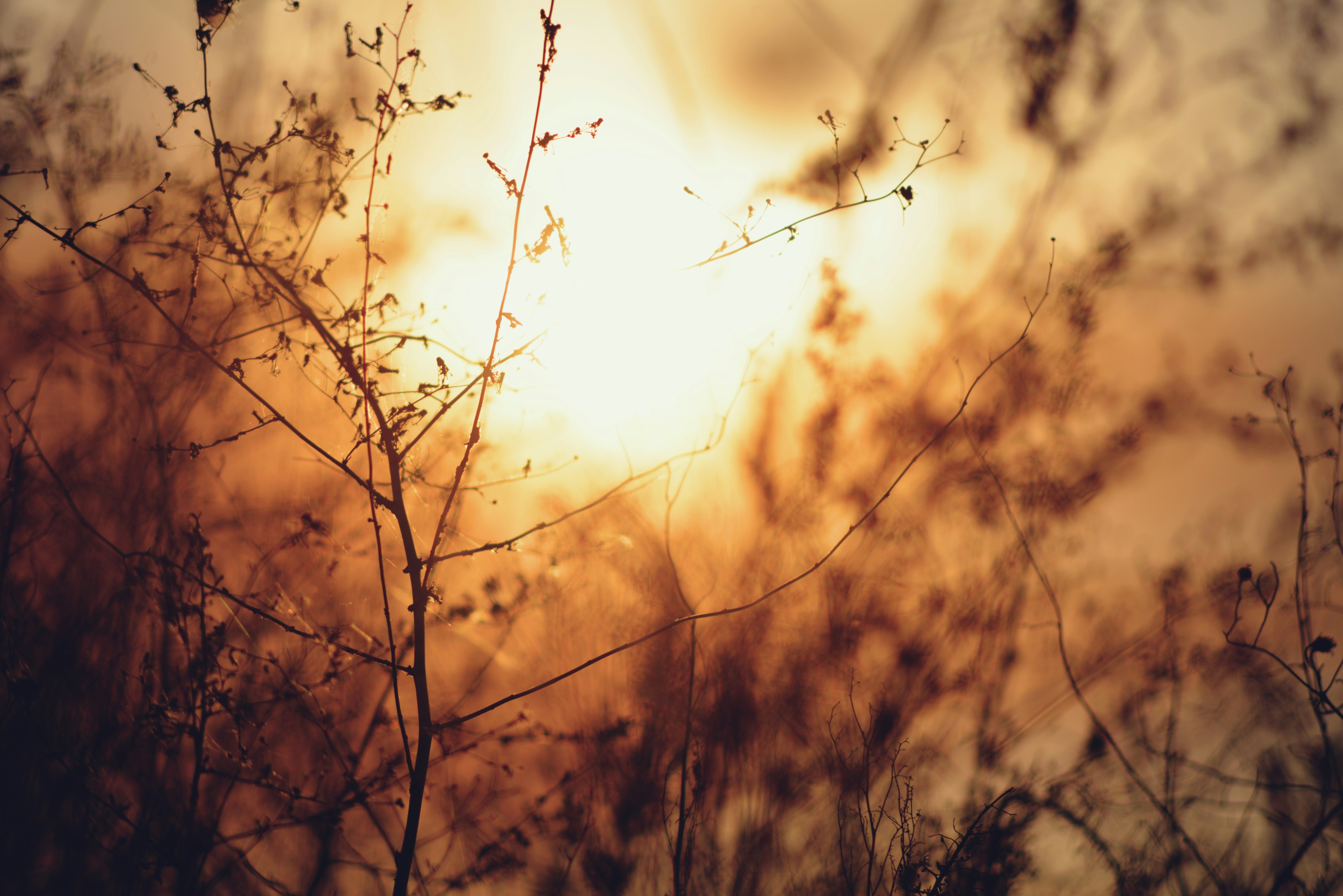 Photo by cherstve_pechivo