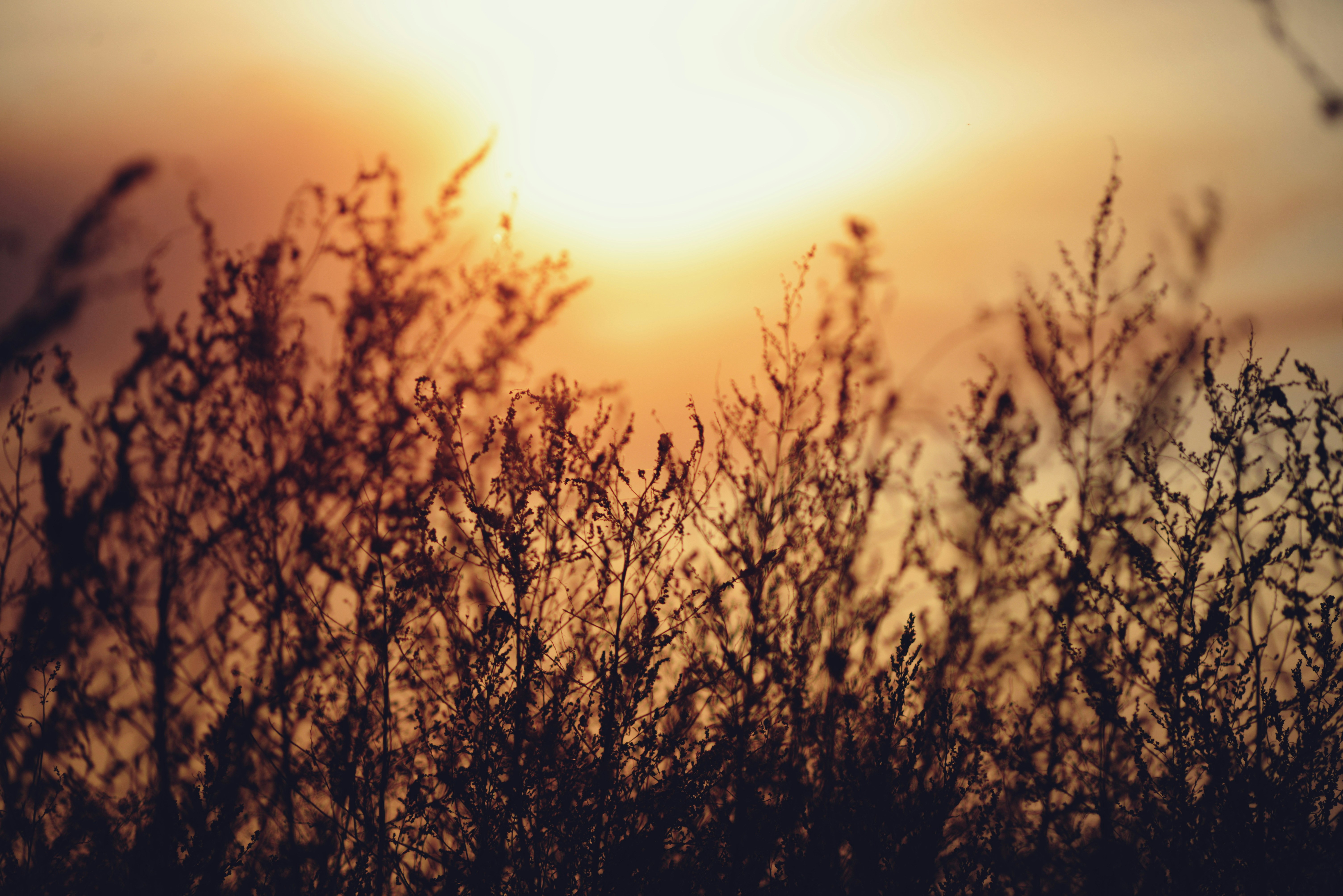 Photo by cherstve_pechivo