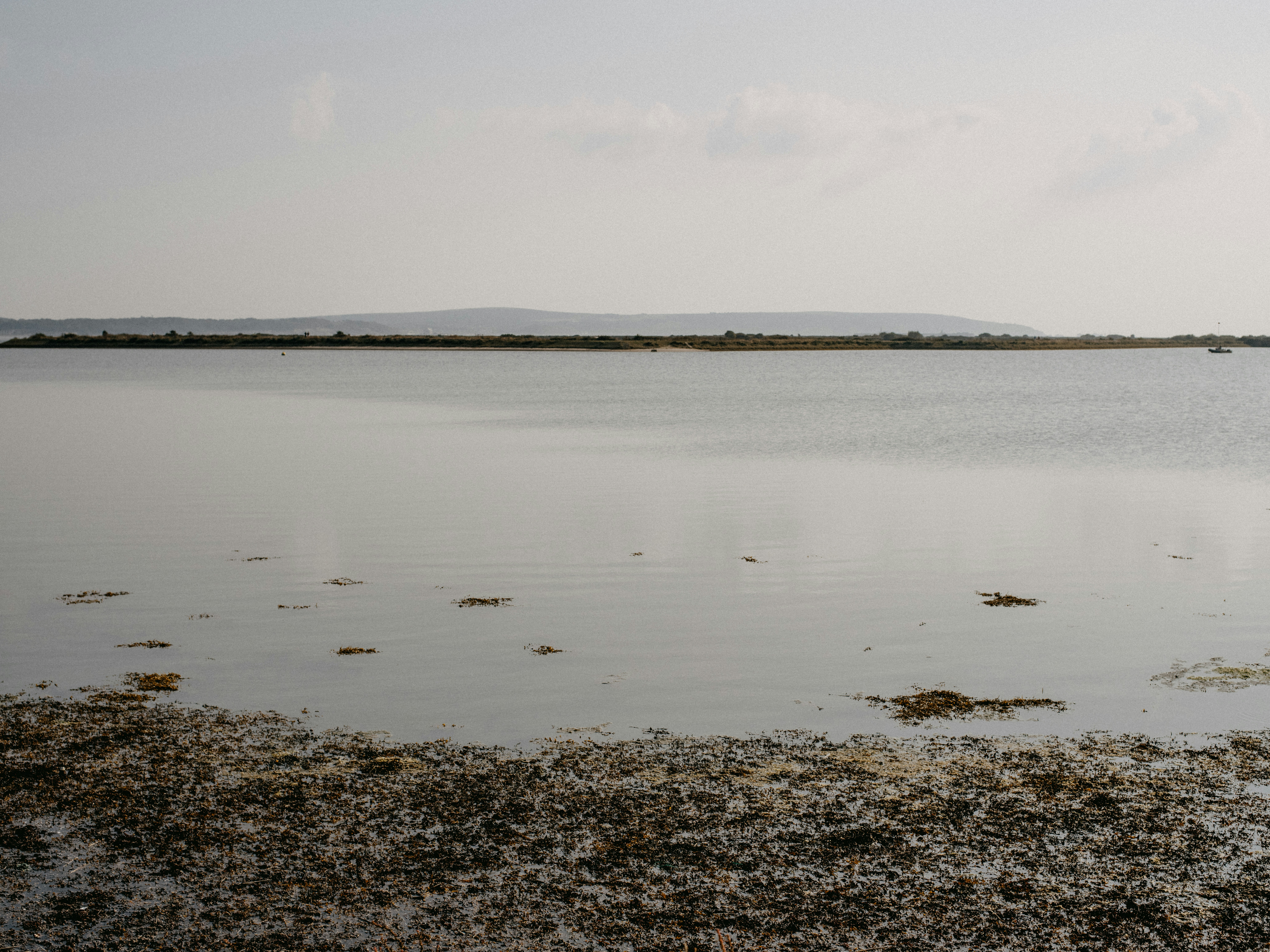 Photo by anniespratt