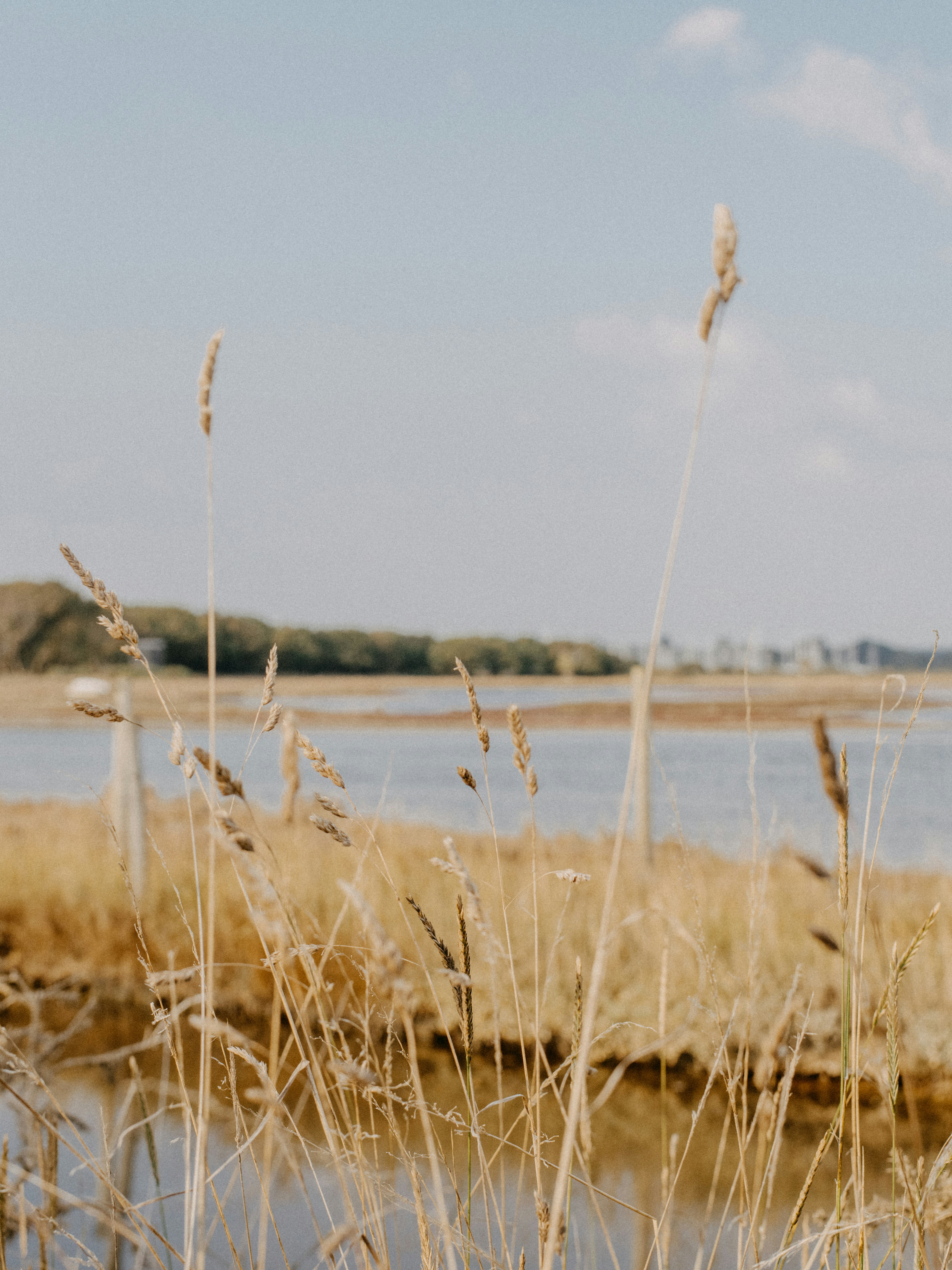 Photo by anniespratt