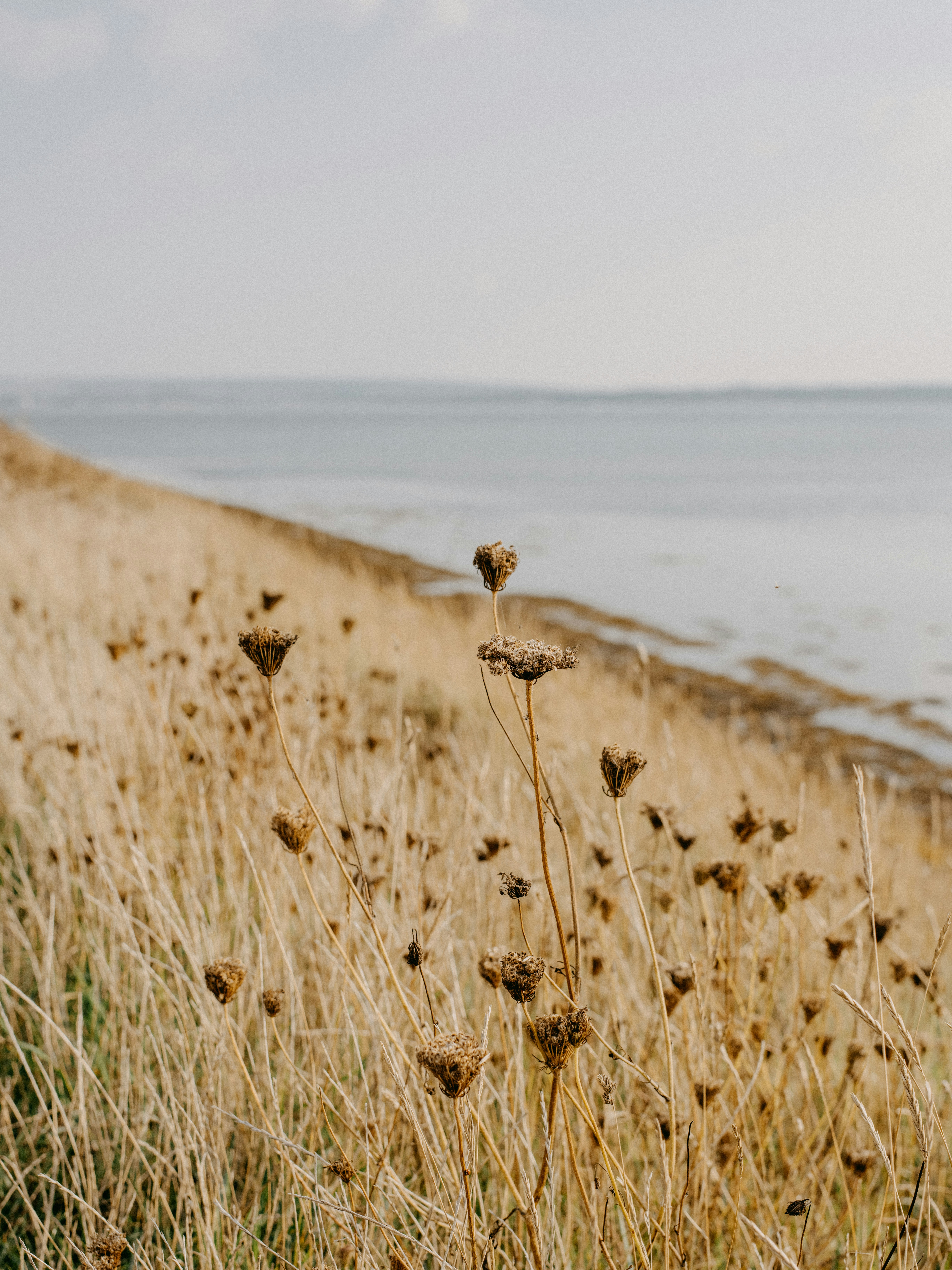 Photo by anniespratt