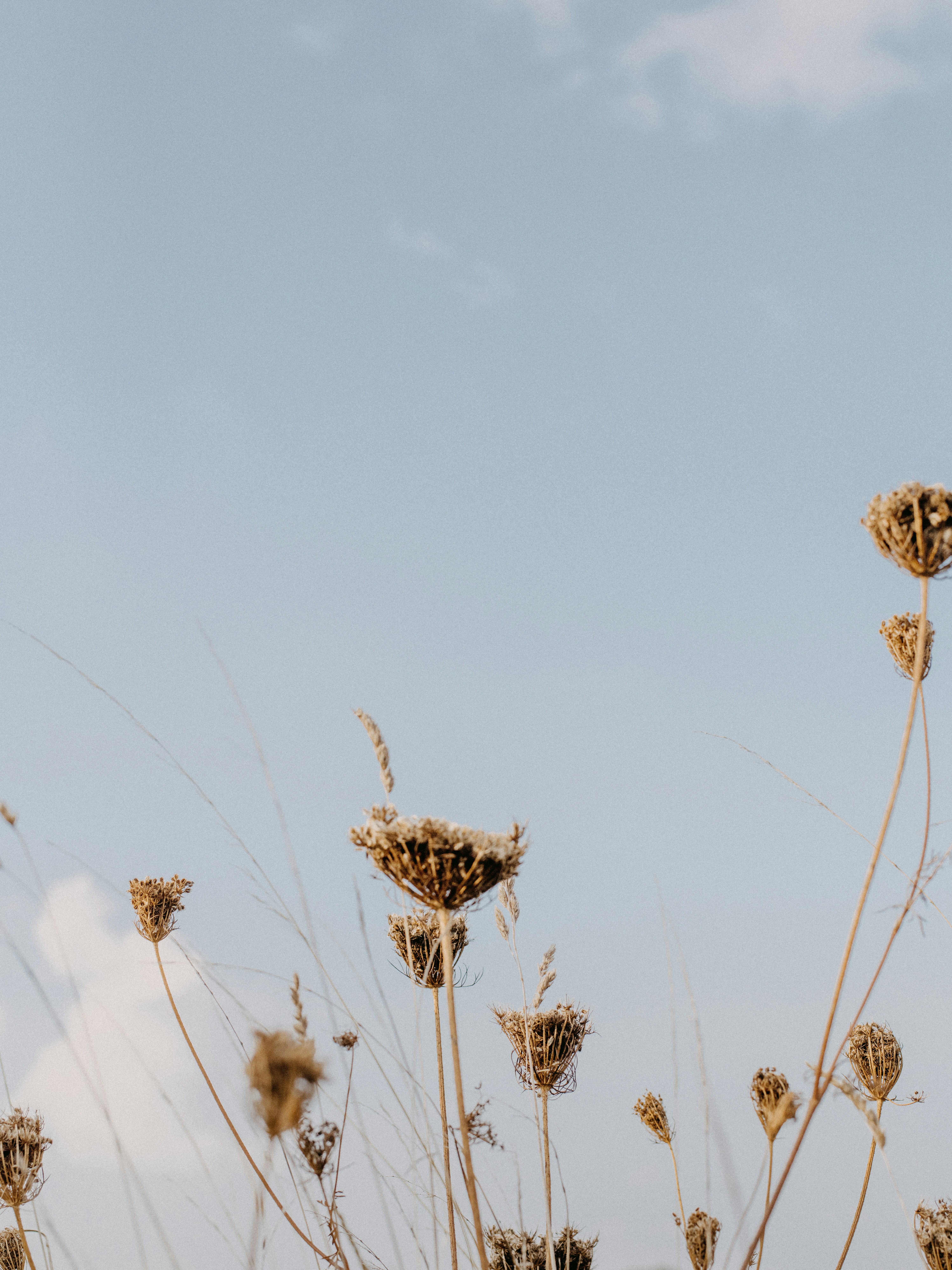 Photo by anniespratt