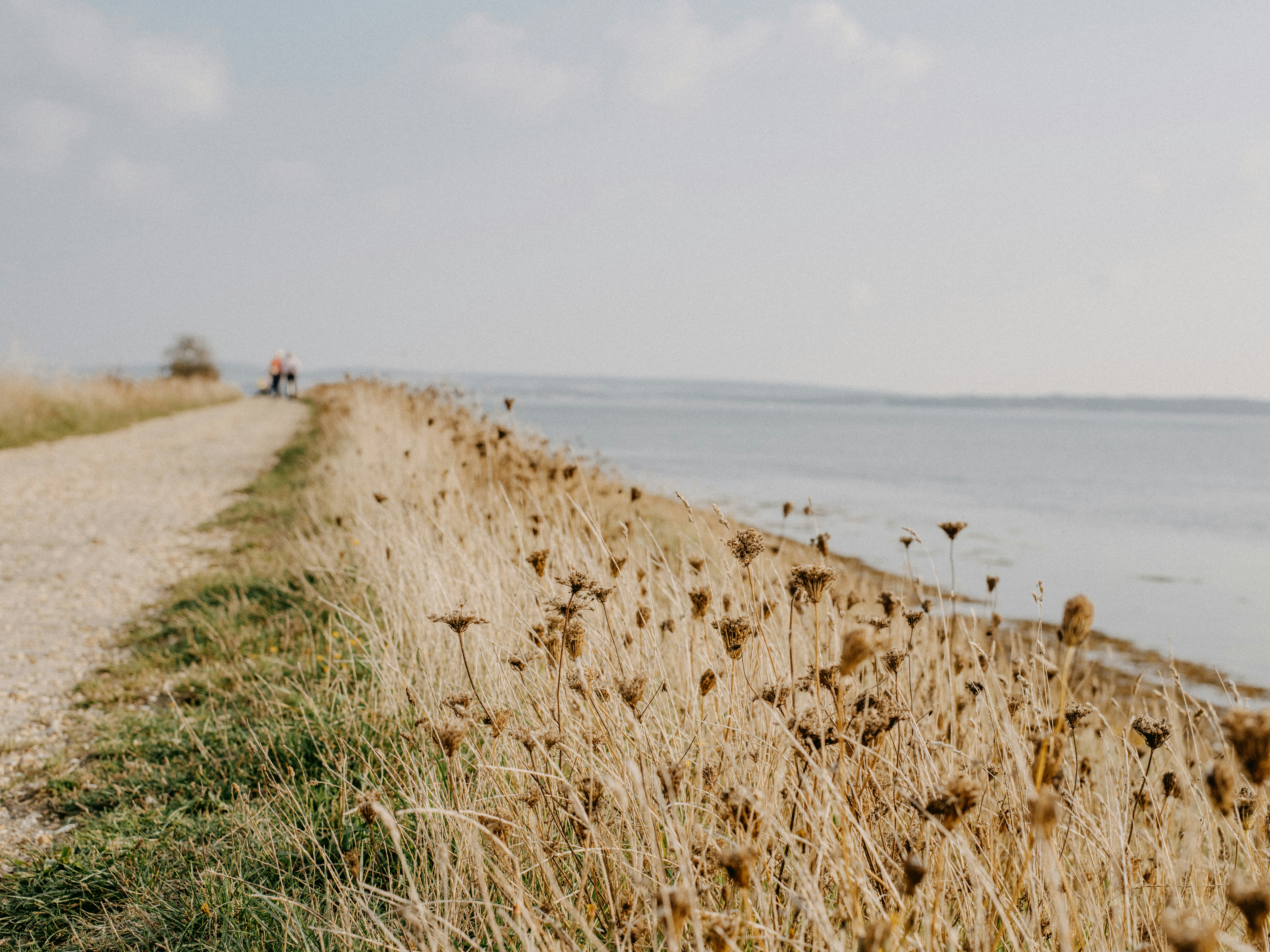 Photo by anniespratt