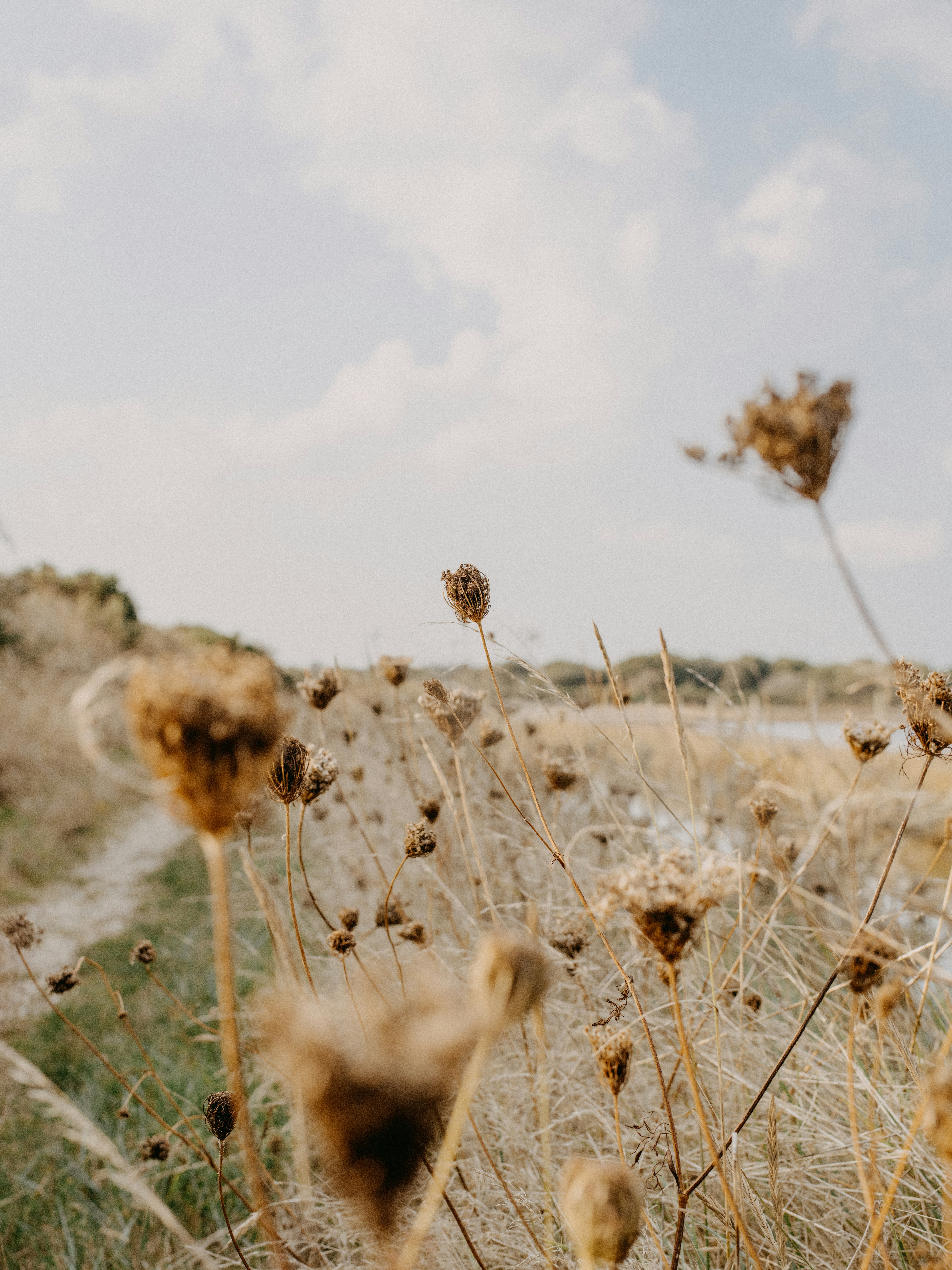 Photo by anniespratt