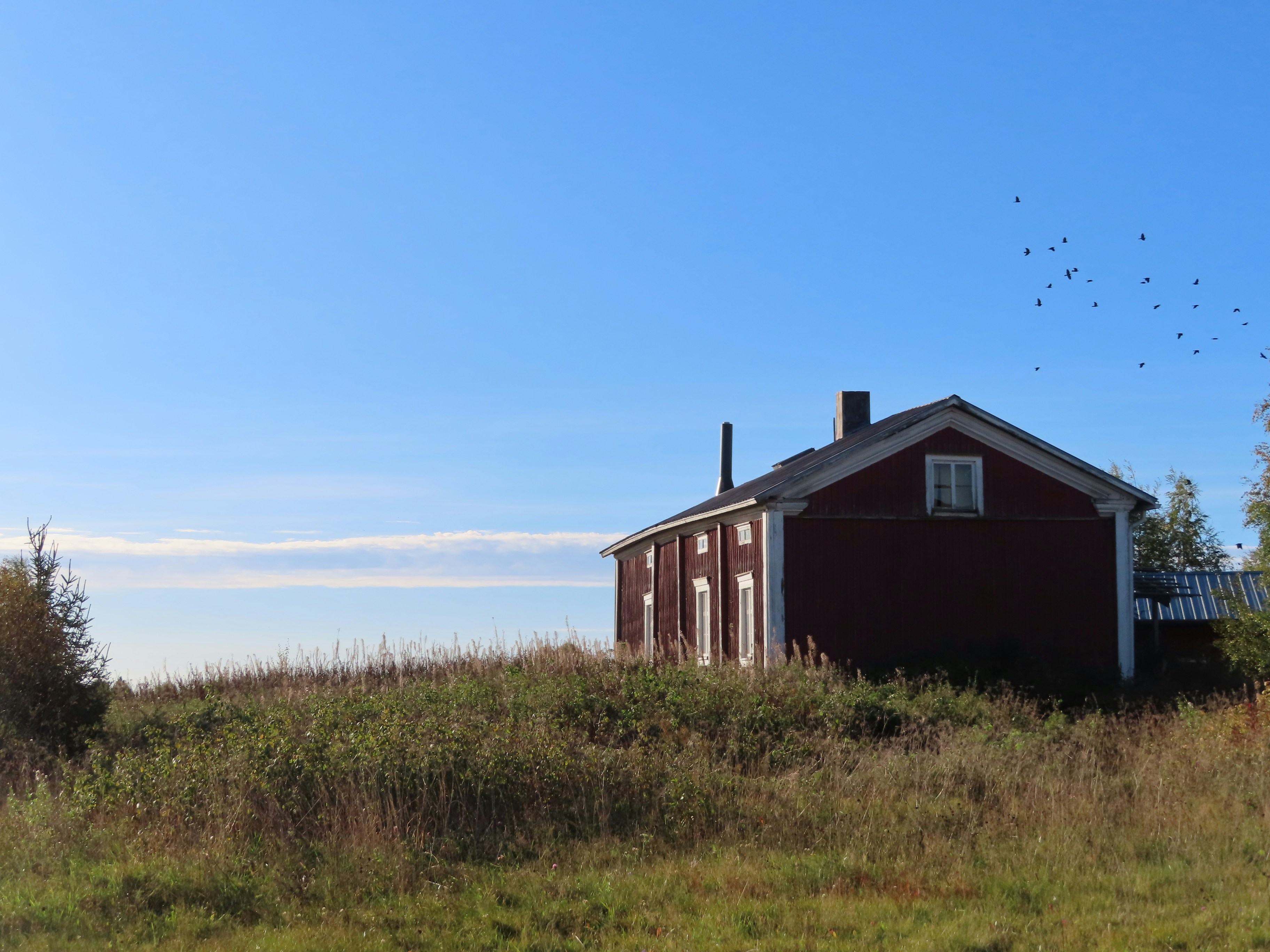 Photo by northernpagan