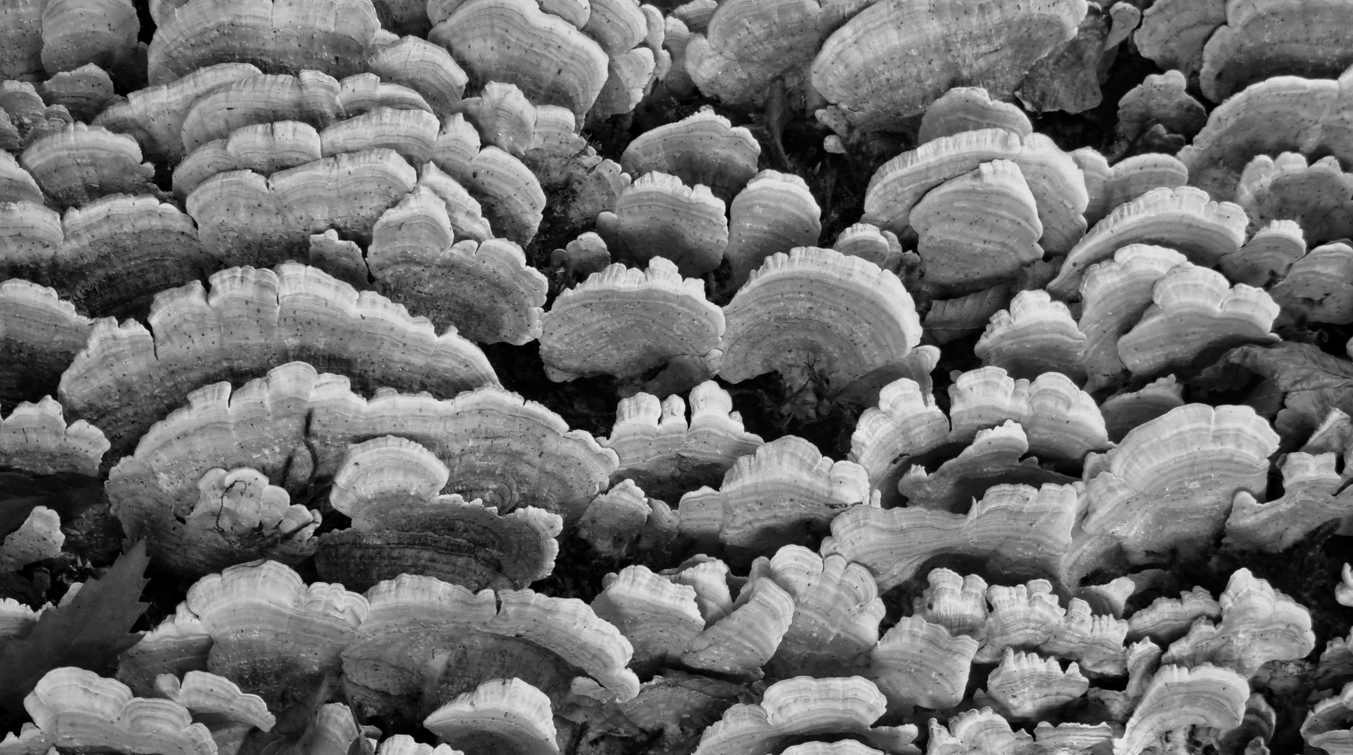 Photo by mahdikordi_ir