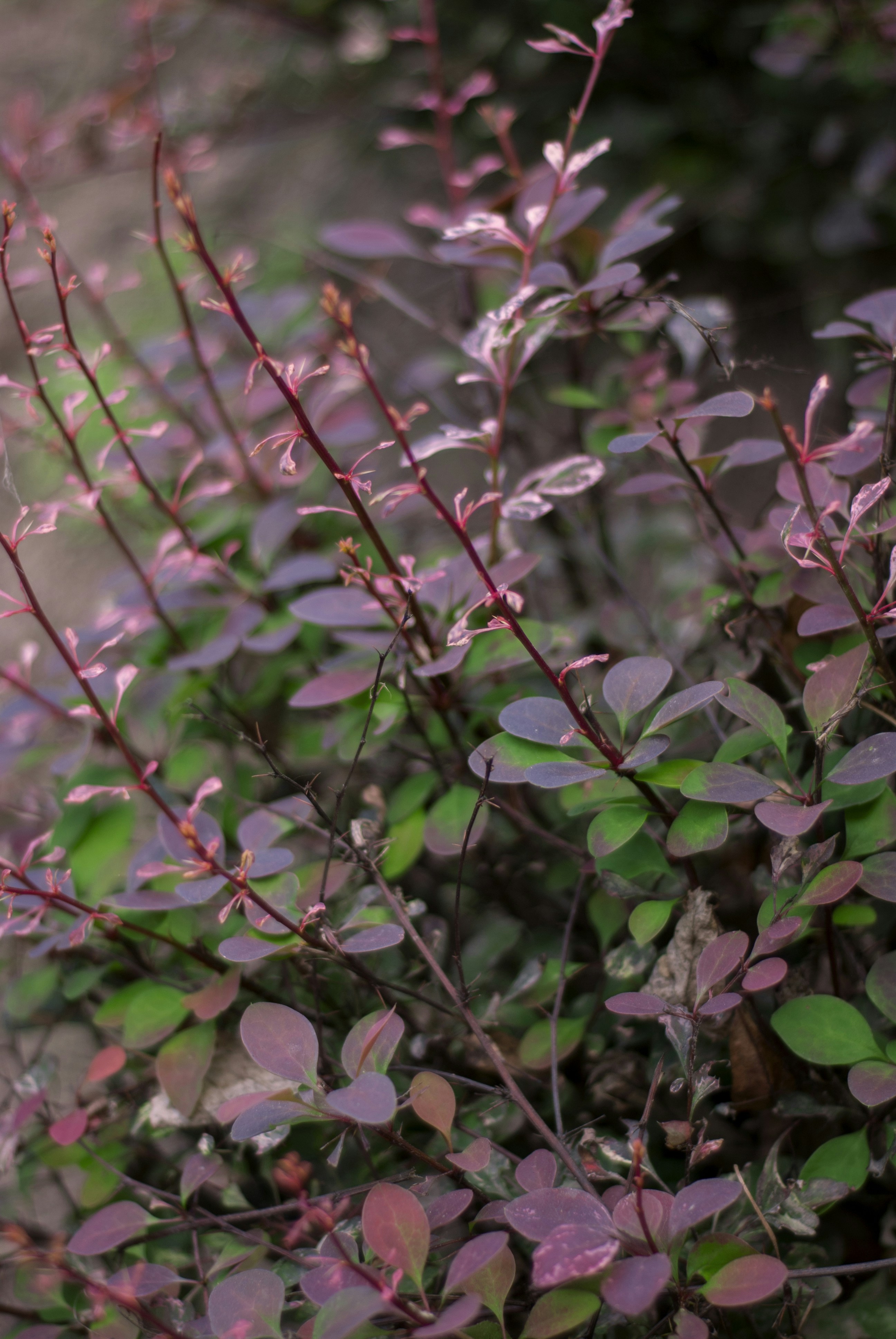 Photo by kovalskihelga