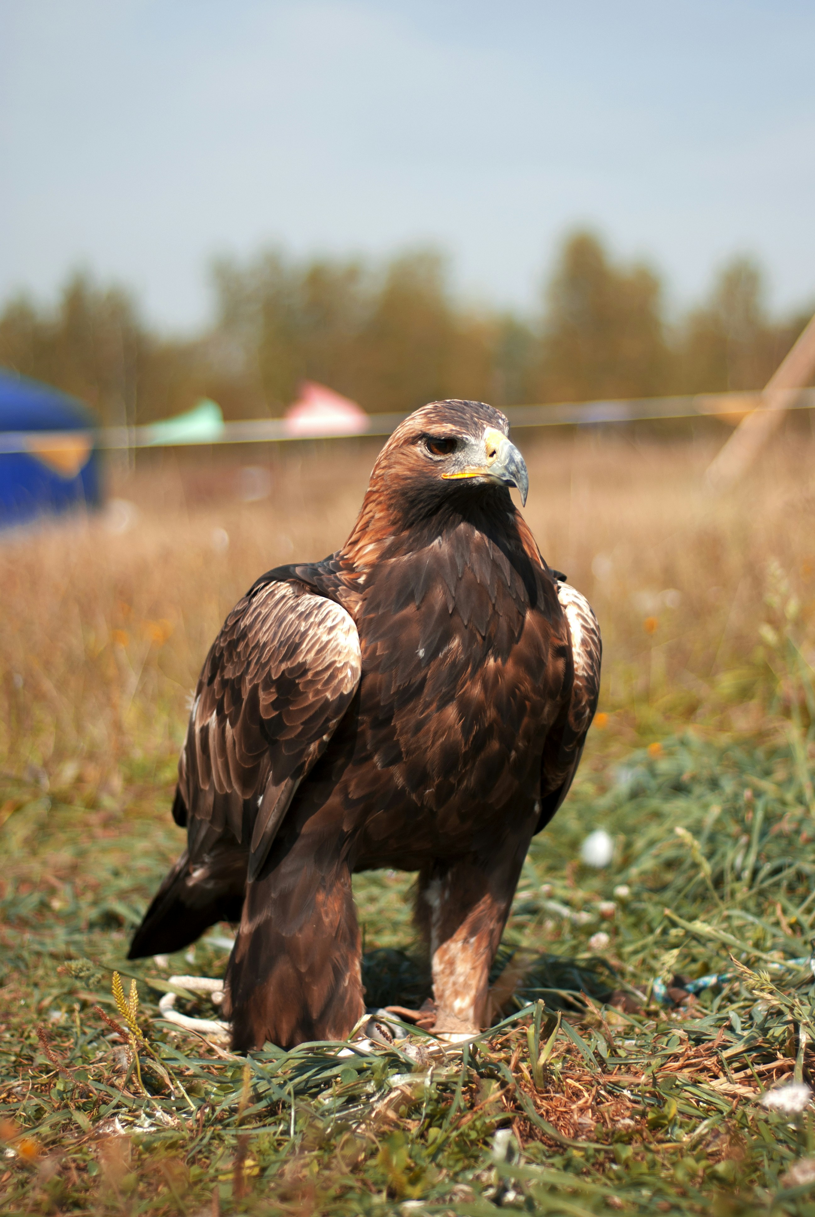 Photo by kovalskihelga