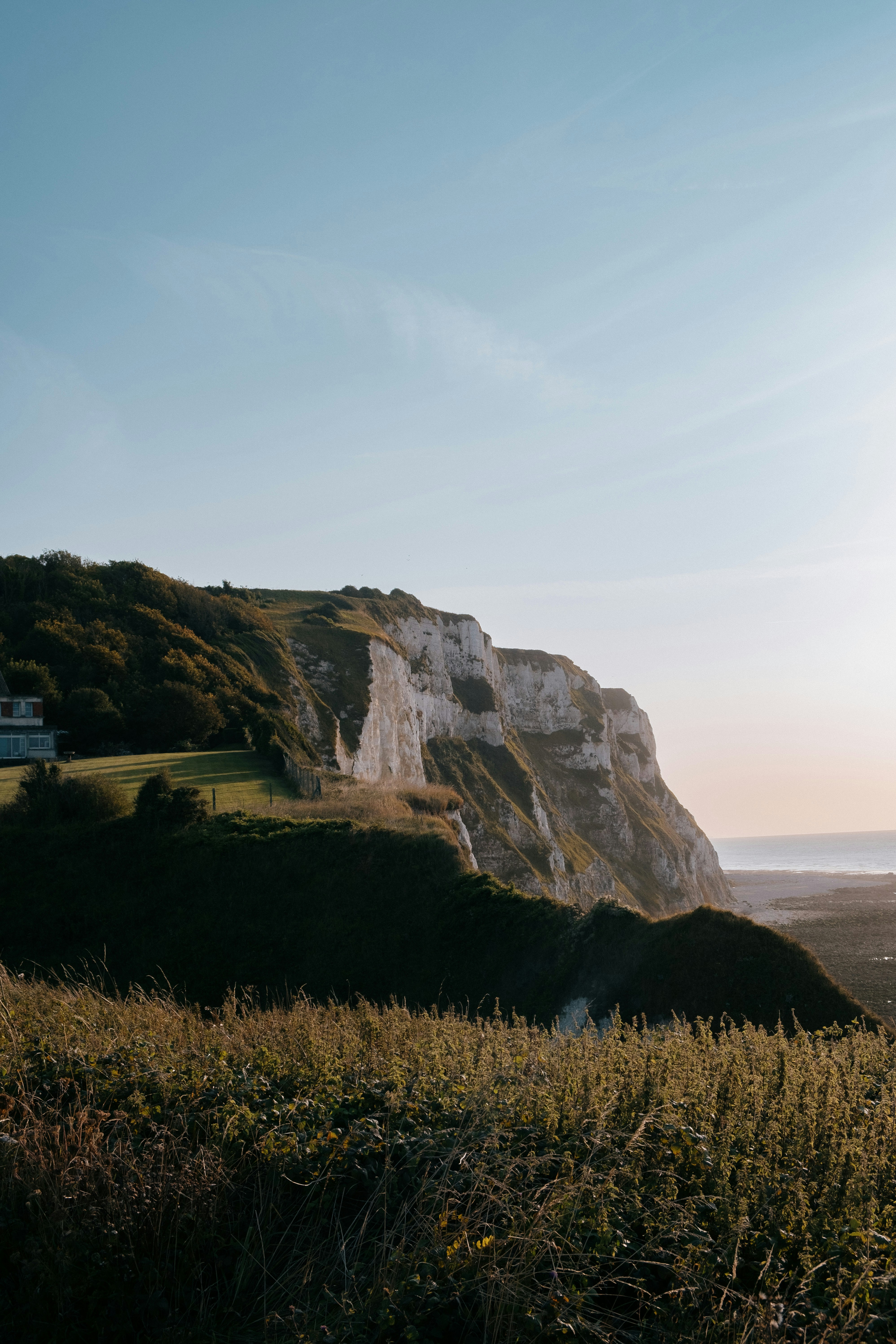 A grassy field with a cliff in the background