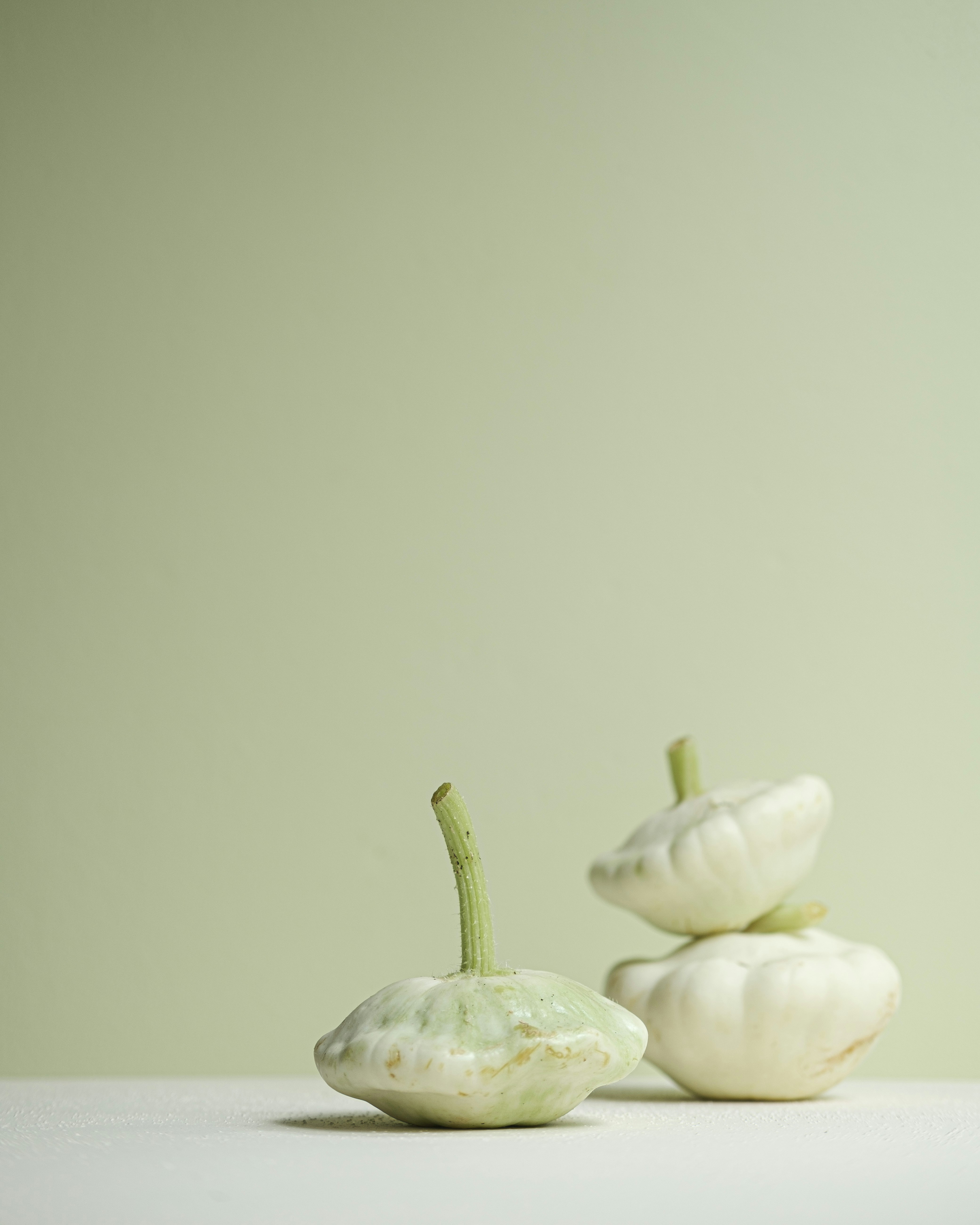 Photo by 360floralflaves