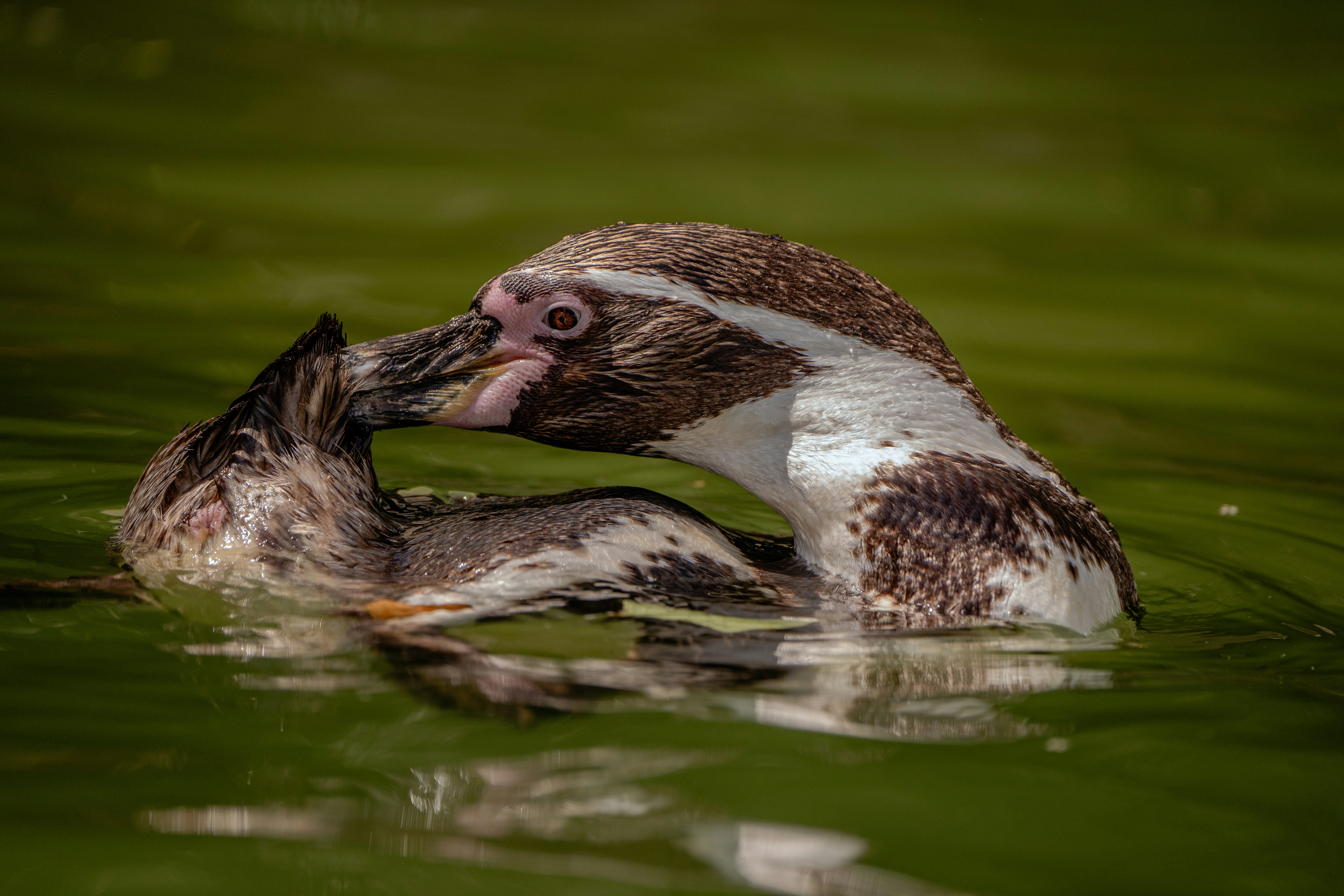 Photo by go_marcos_lira