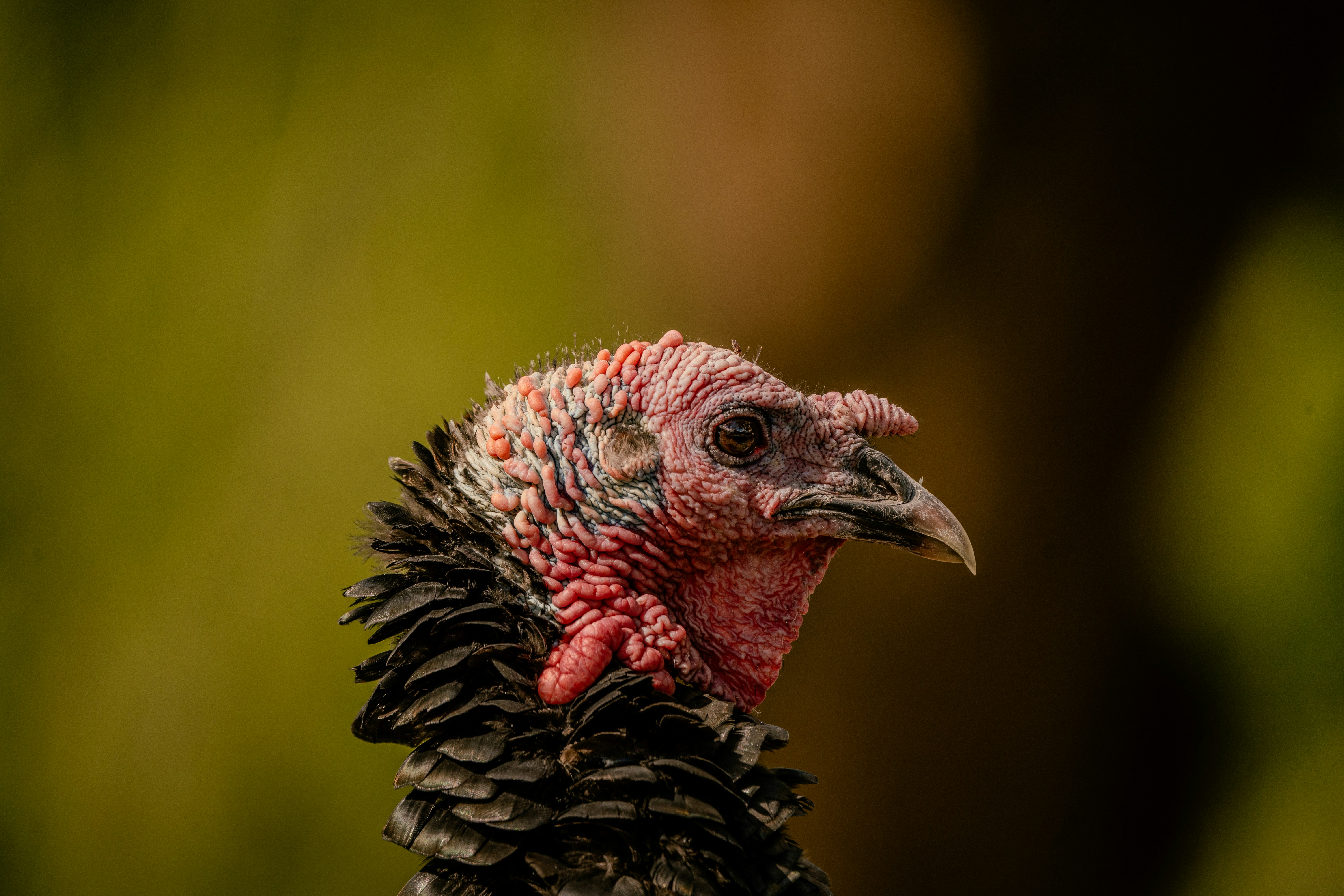 Photo by go_marcos_lira