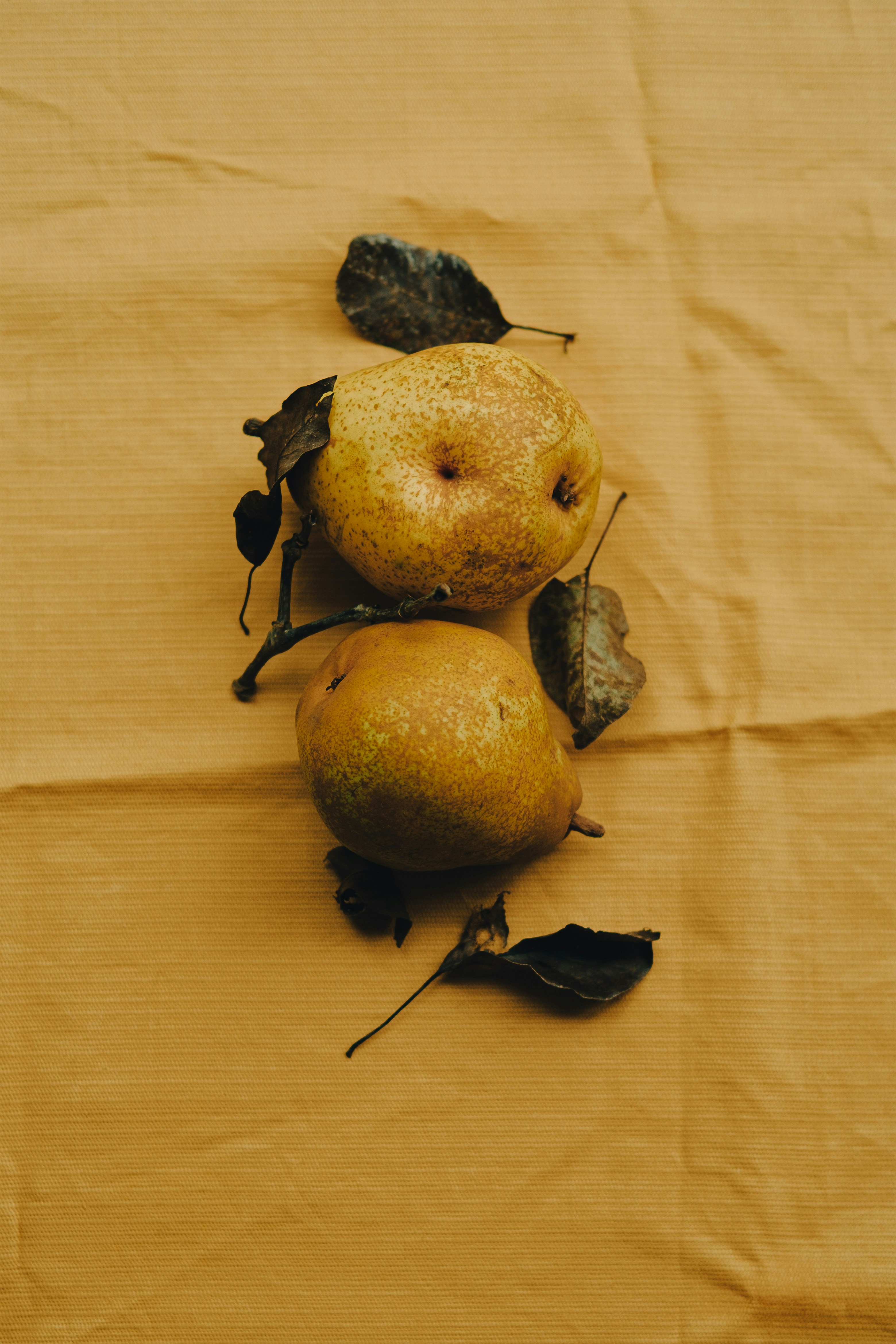 Photo by 360floralflaves