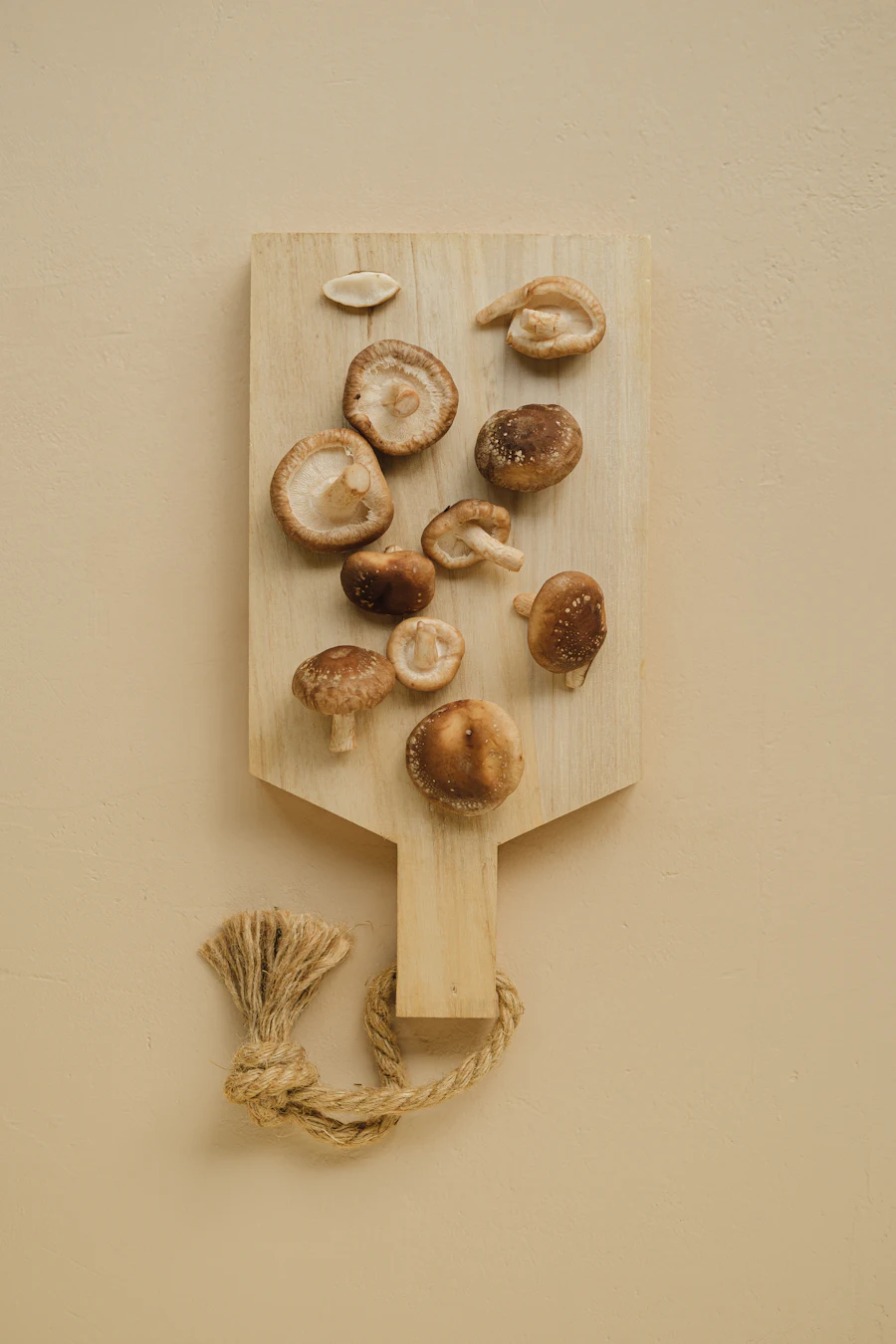 Shiitake fresco na tábua, pronto pra cozinha