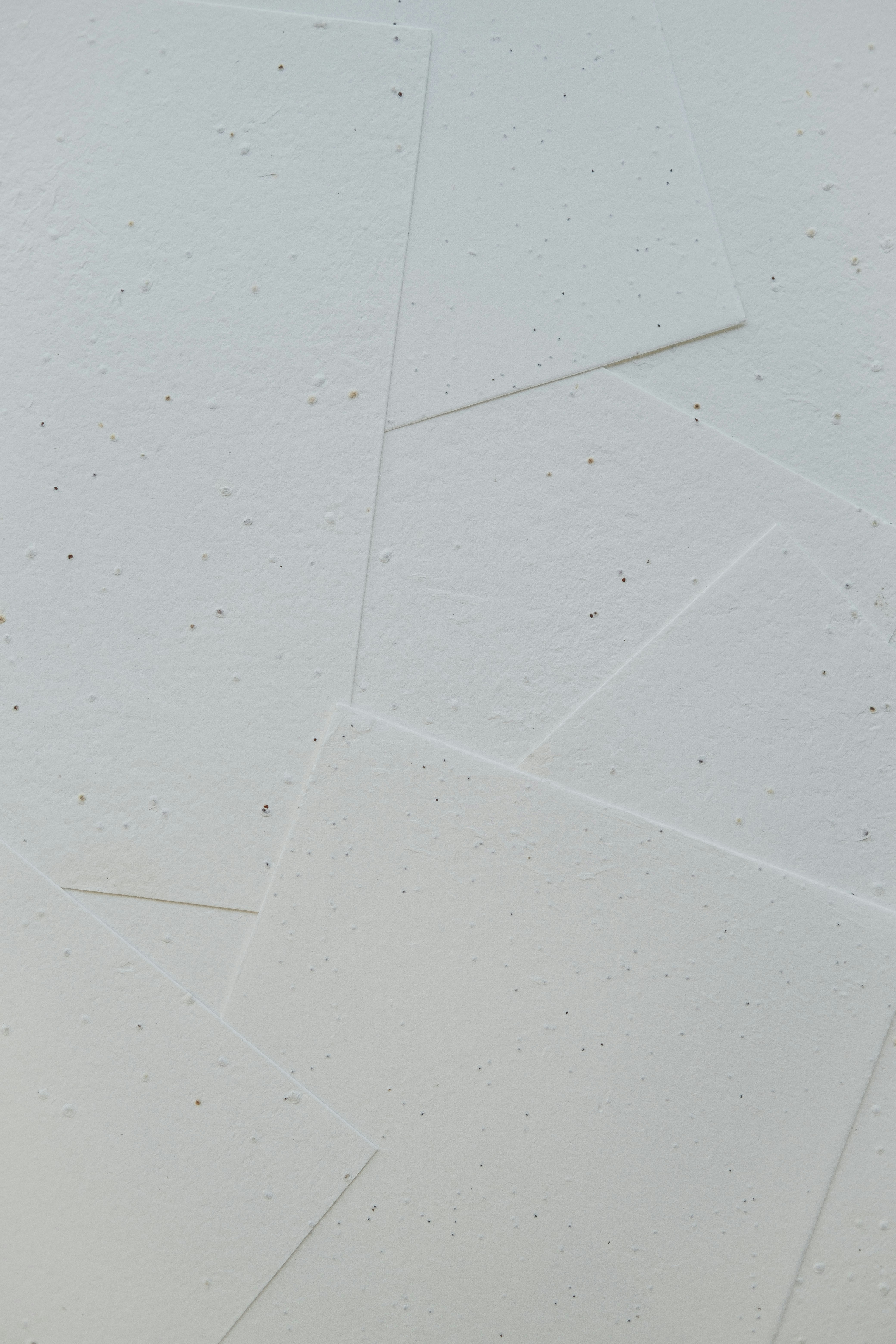 Photo by 360floralflaves