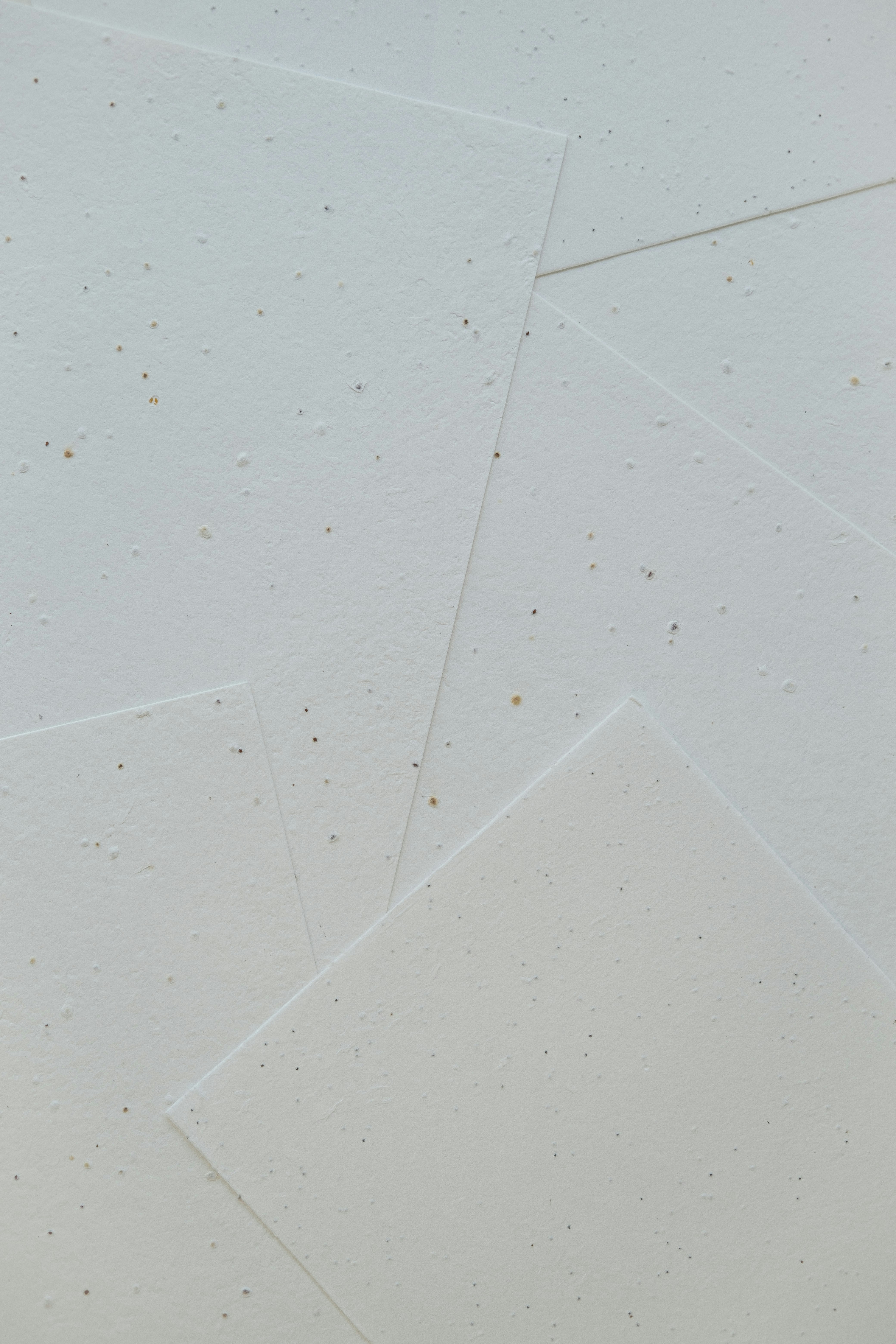 Photo by 360floralflaves