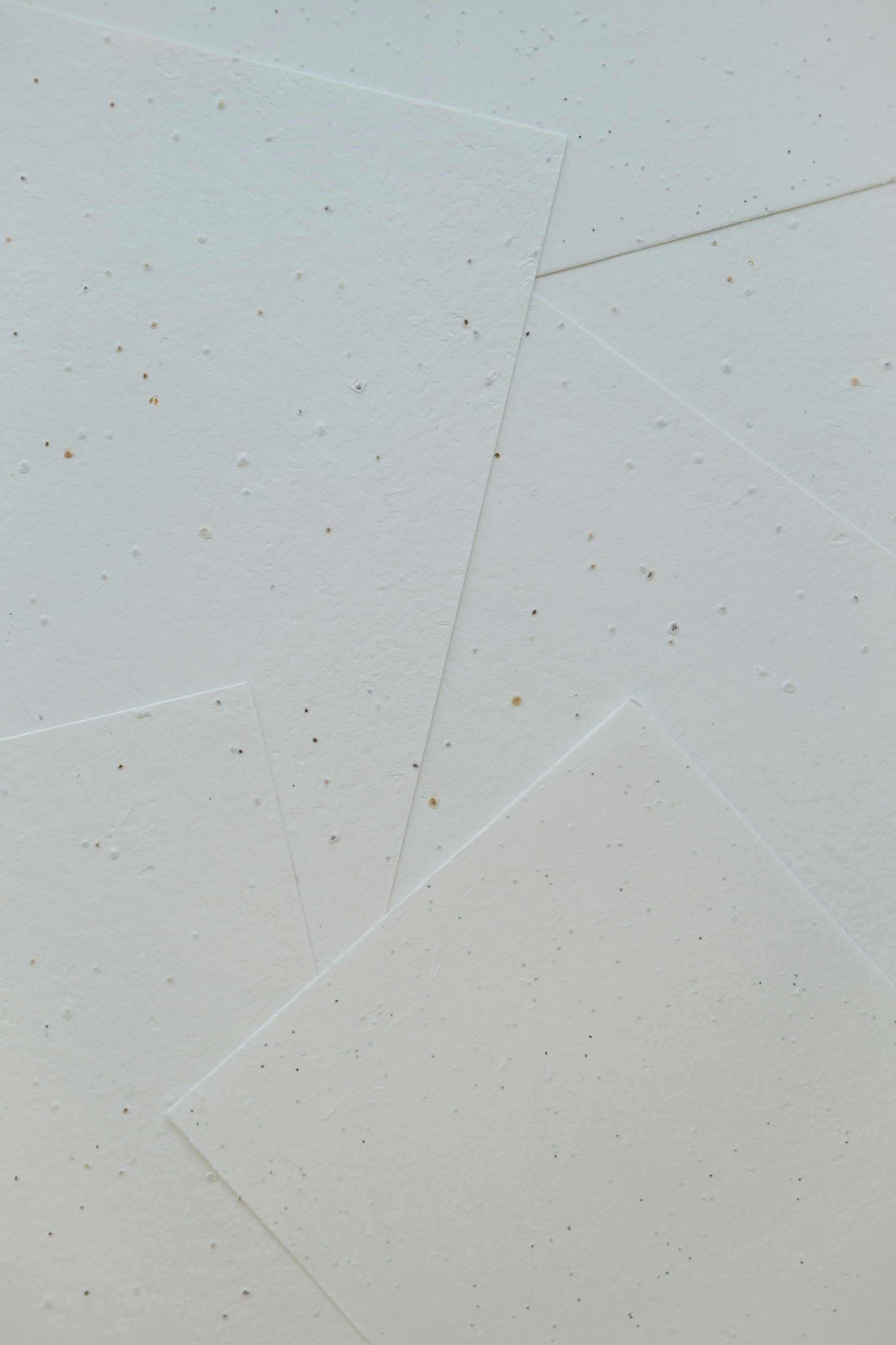 A cat is sitting on a white surface