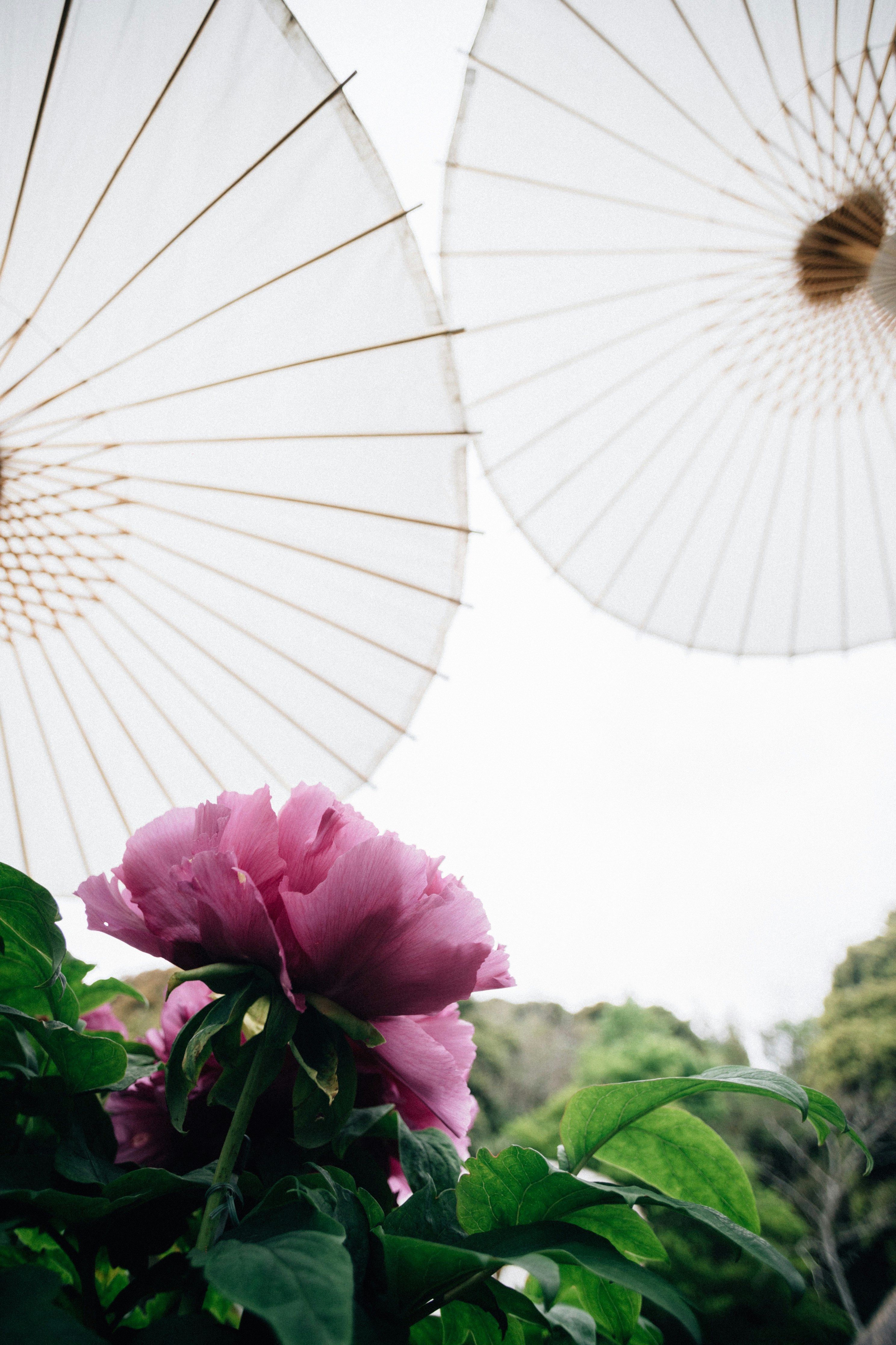 Photo by tsuyoshikozu