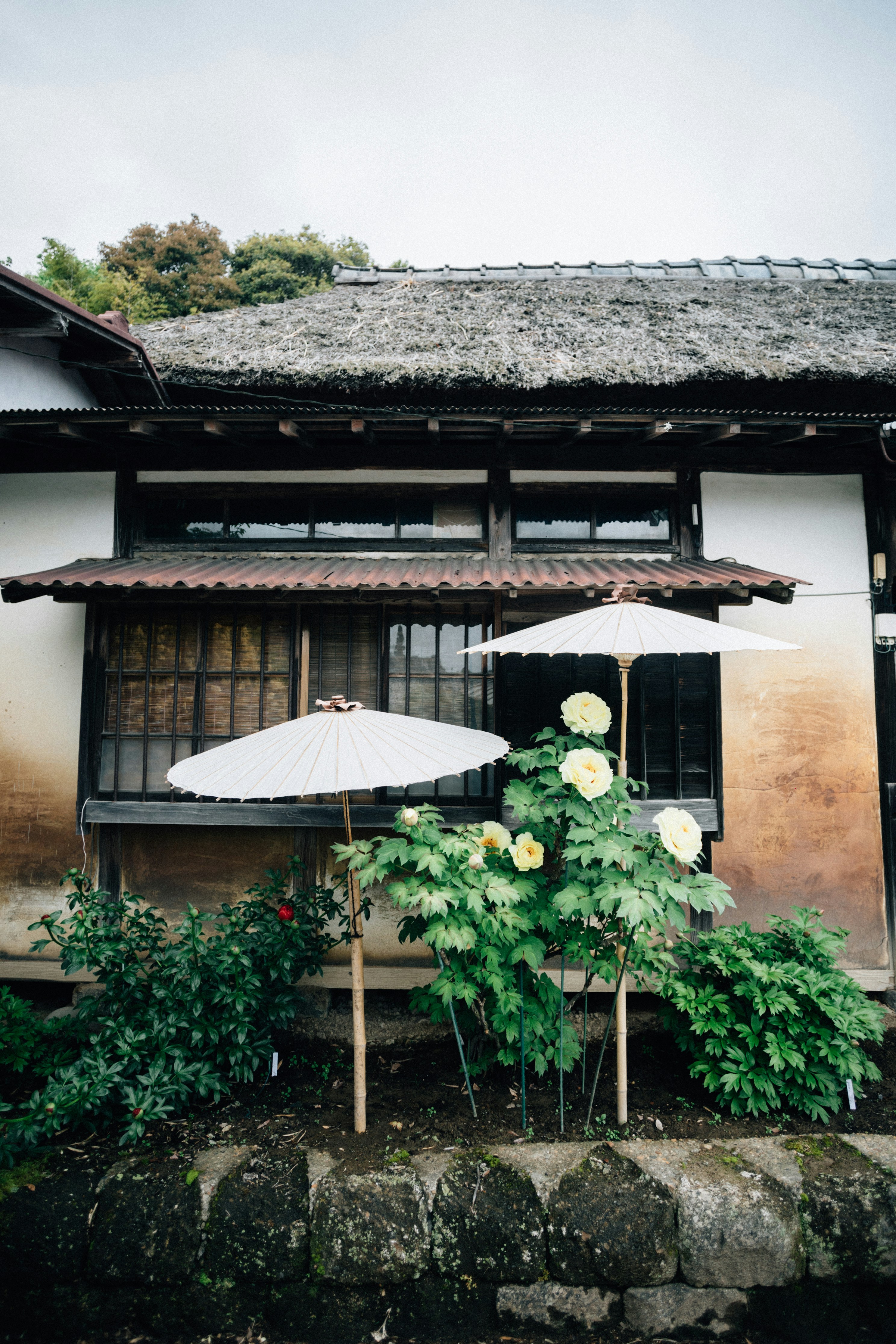 Photo by tsuyoshikozu