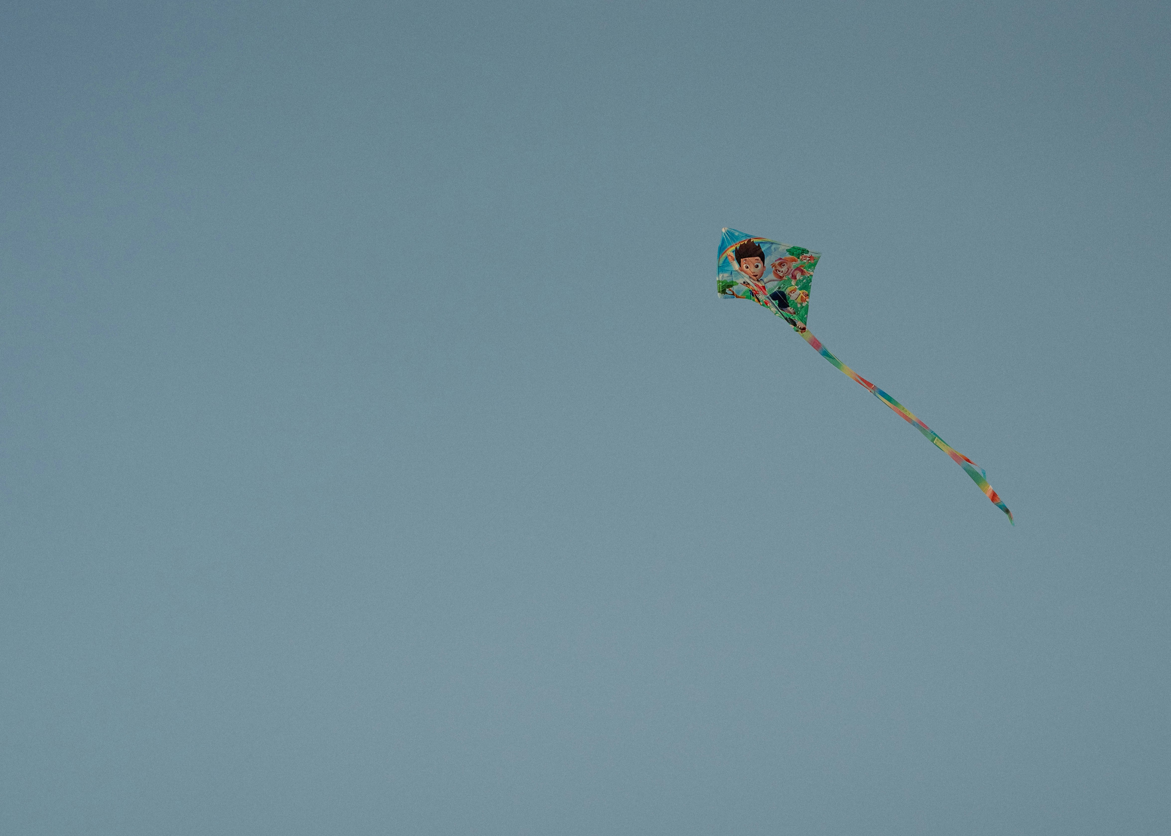 A man flying a kite in the sky